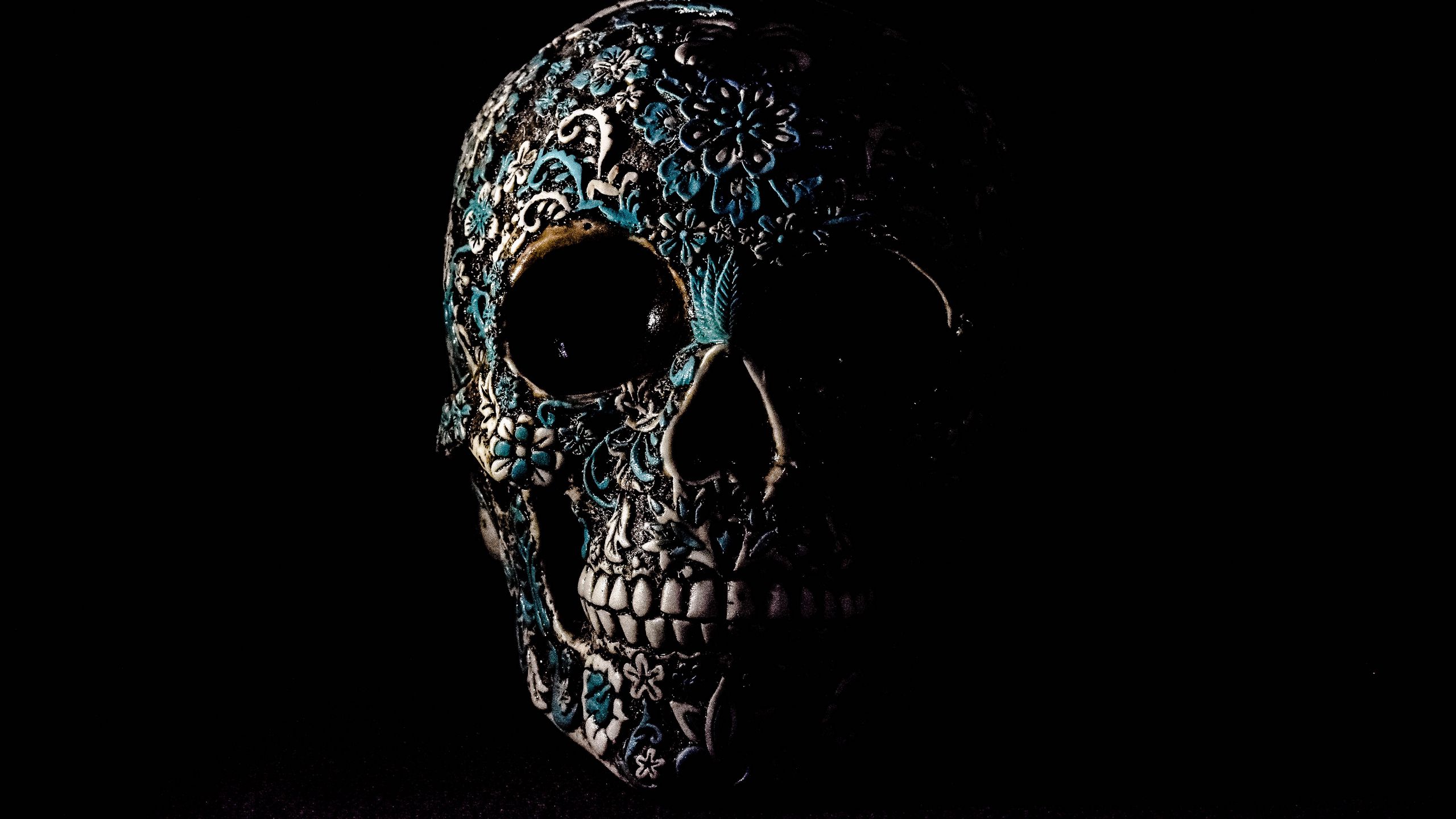 Download wallpaper 2560x1440 skull