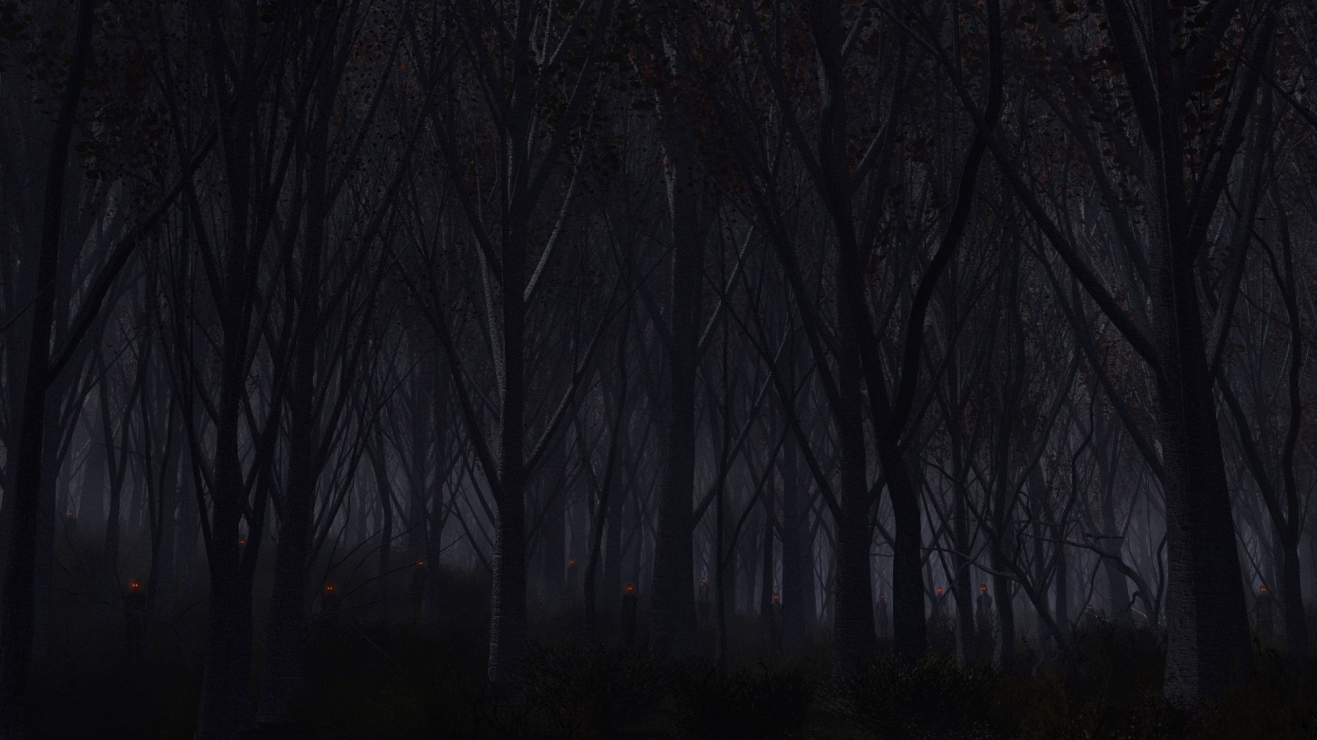 Forest Dark 1440P Resolution