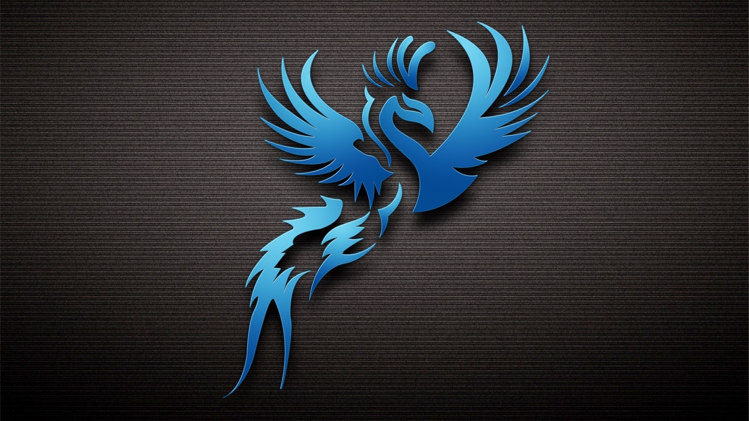 Dark Blue Bird 2560x1440 HDTV Wallpaper