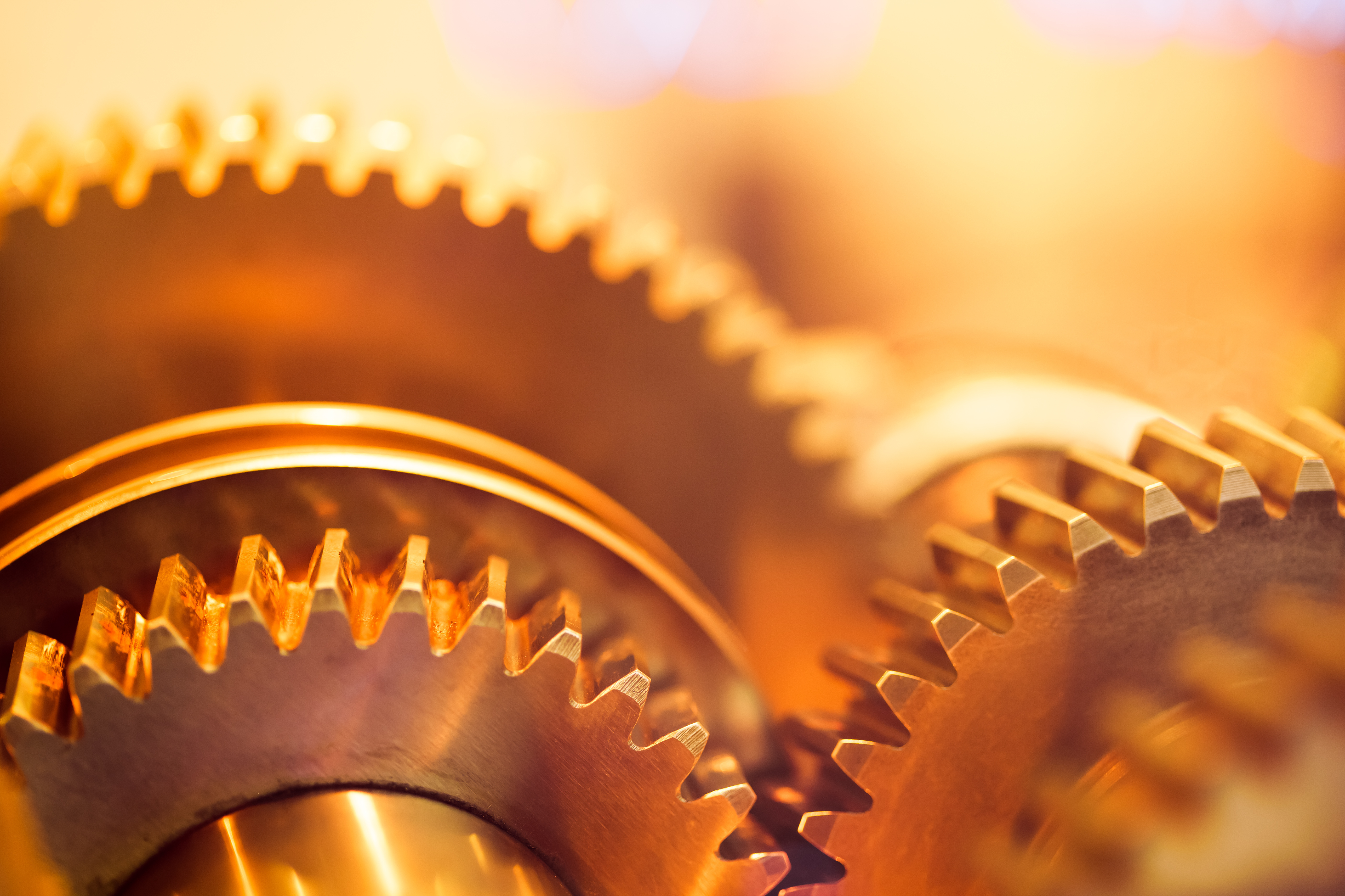 Photography Close Up 4k Ultra HD Wallpaper