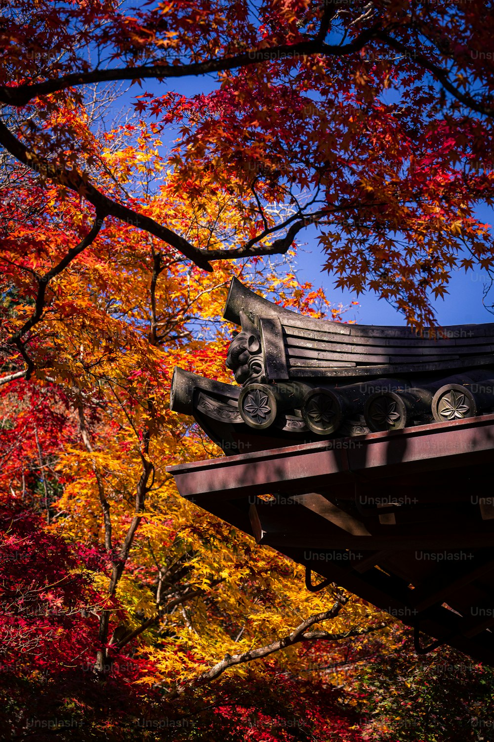 Japanese Temple Picture