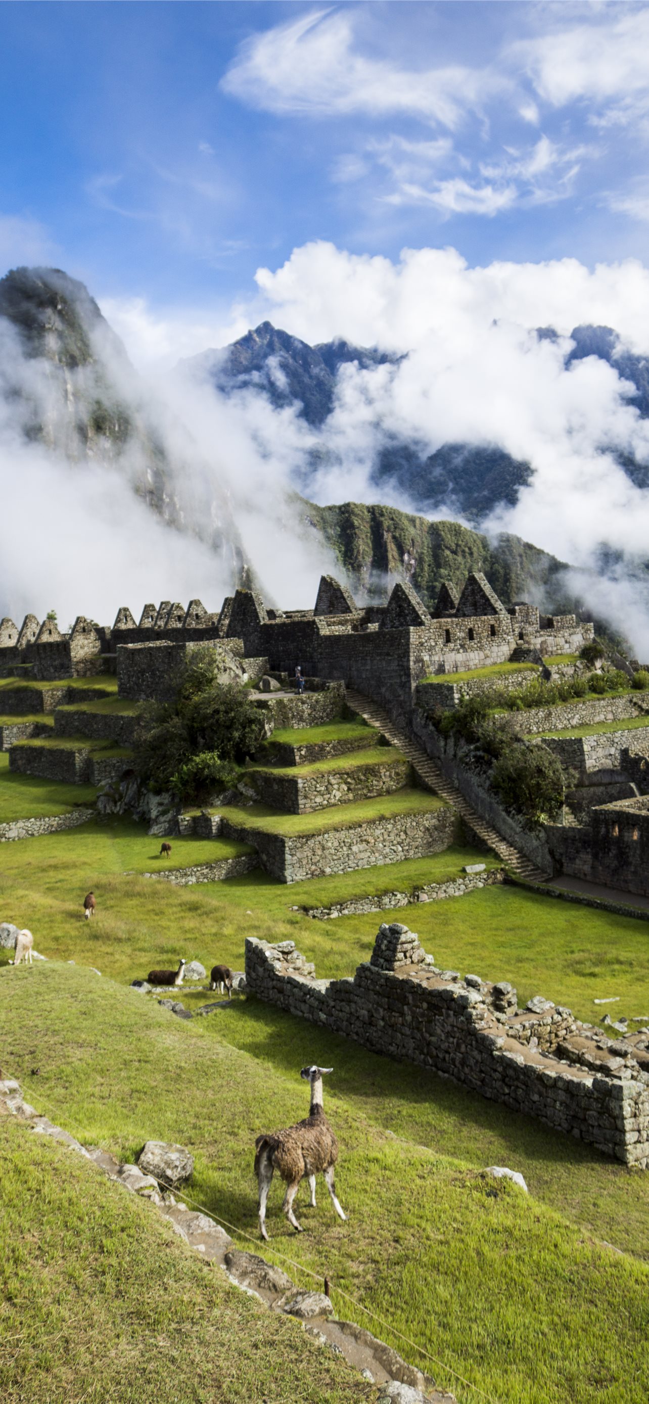 Best Machu picchu iPhone HD Wallpaper