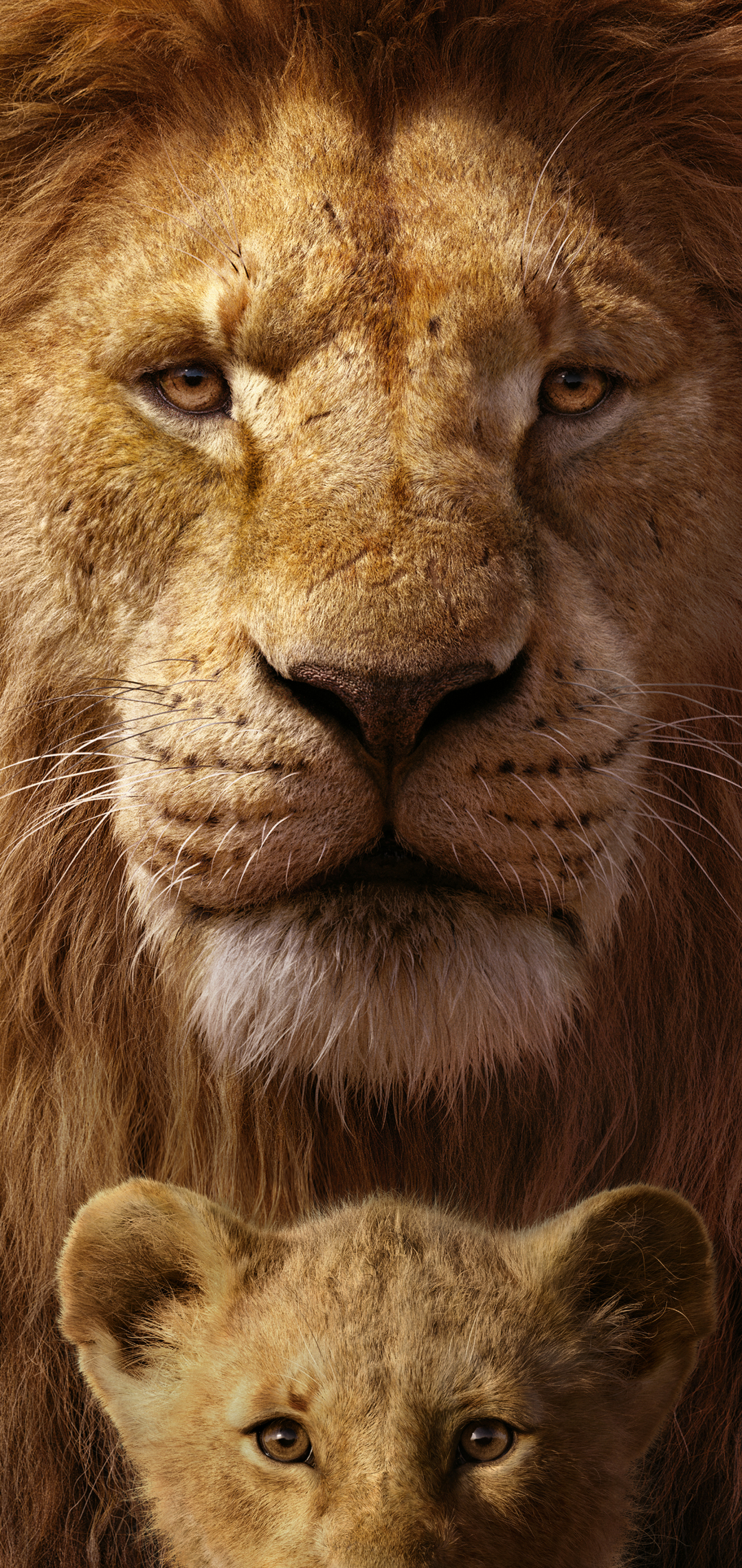 Download Mufasa The Lion King