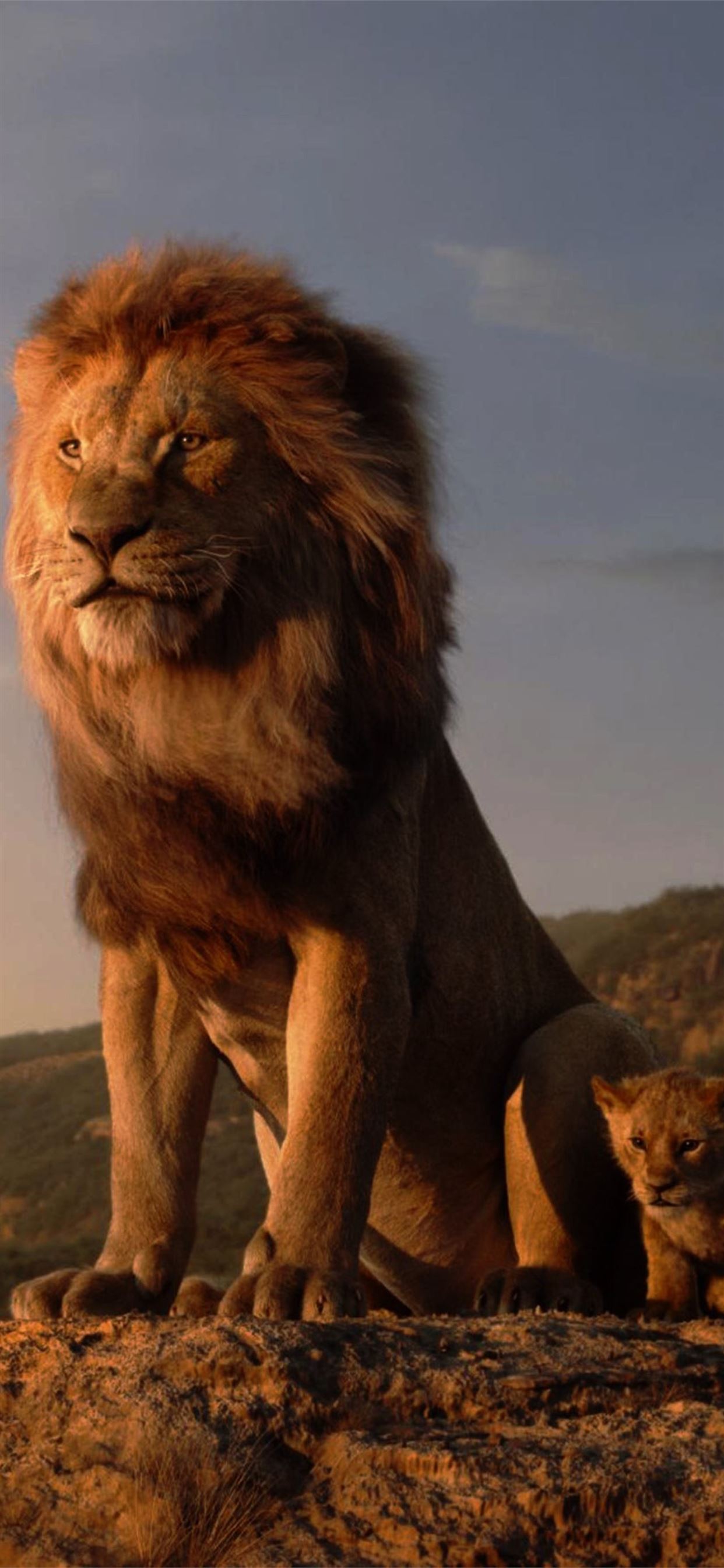 The Lion King Resolution HD Movies 4K