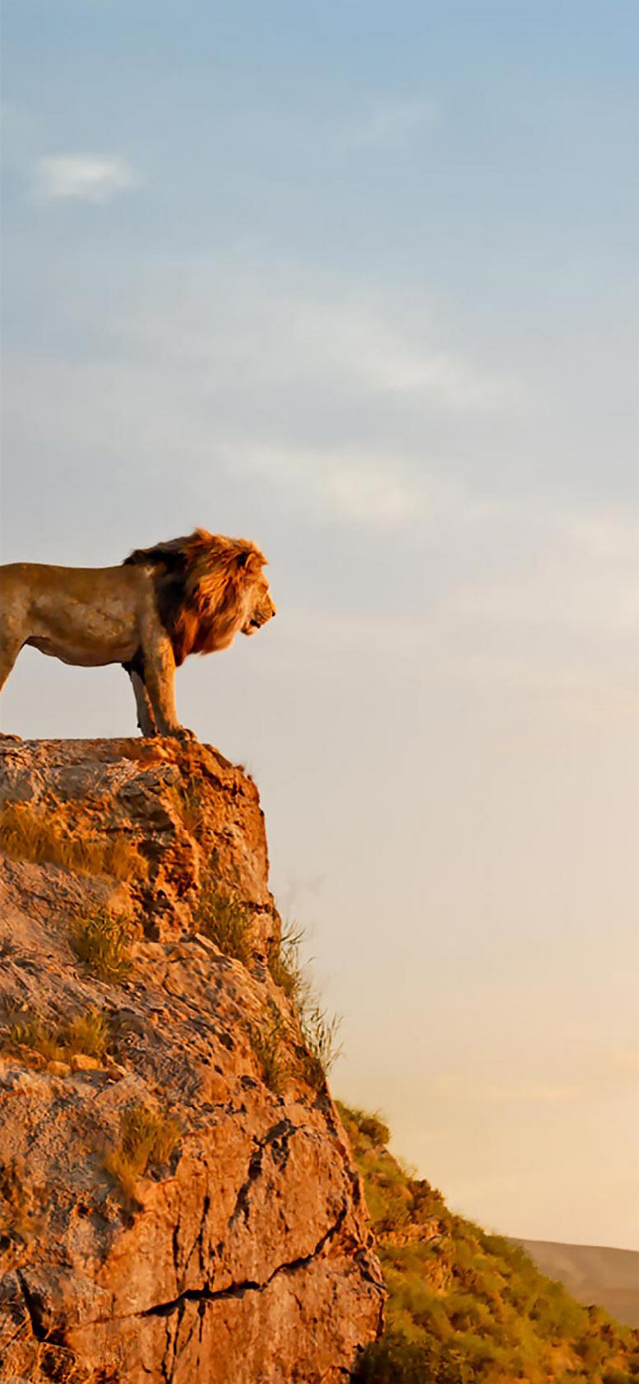 The Lion King 2019 Mufasa Simba 4K