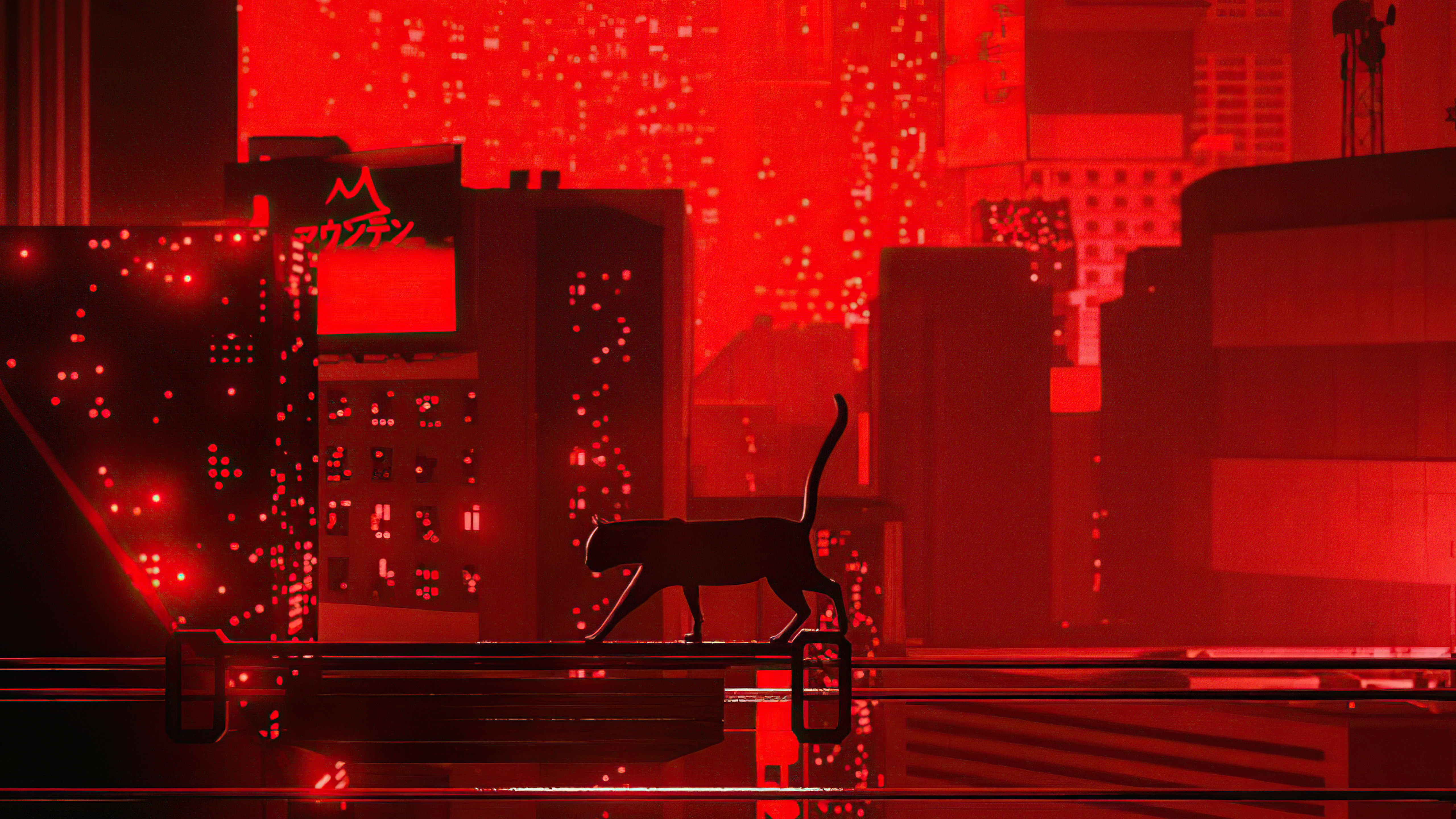 Cat Walking Red Night 5k Wallpaper, HD