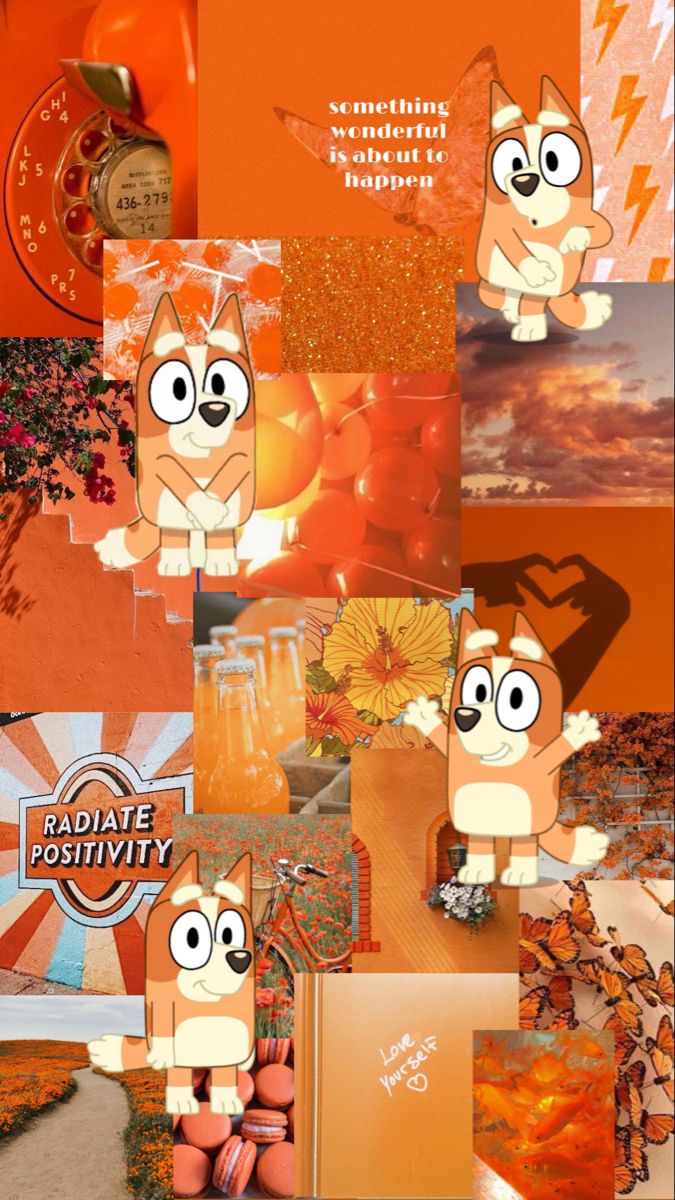 Bingo Bluey wallpaper
