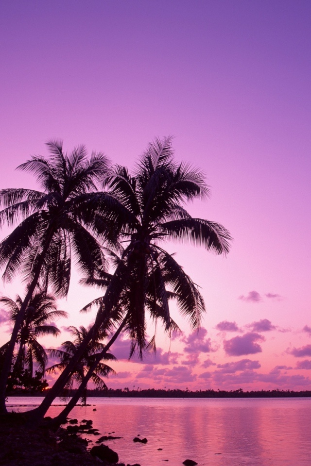 Photo By Diane Murphy Wallpaper