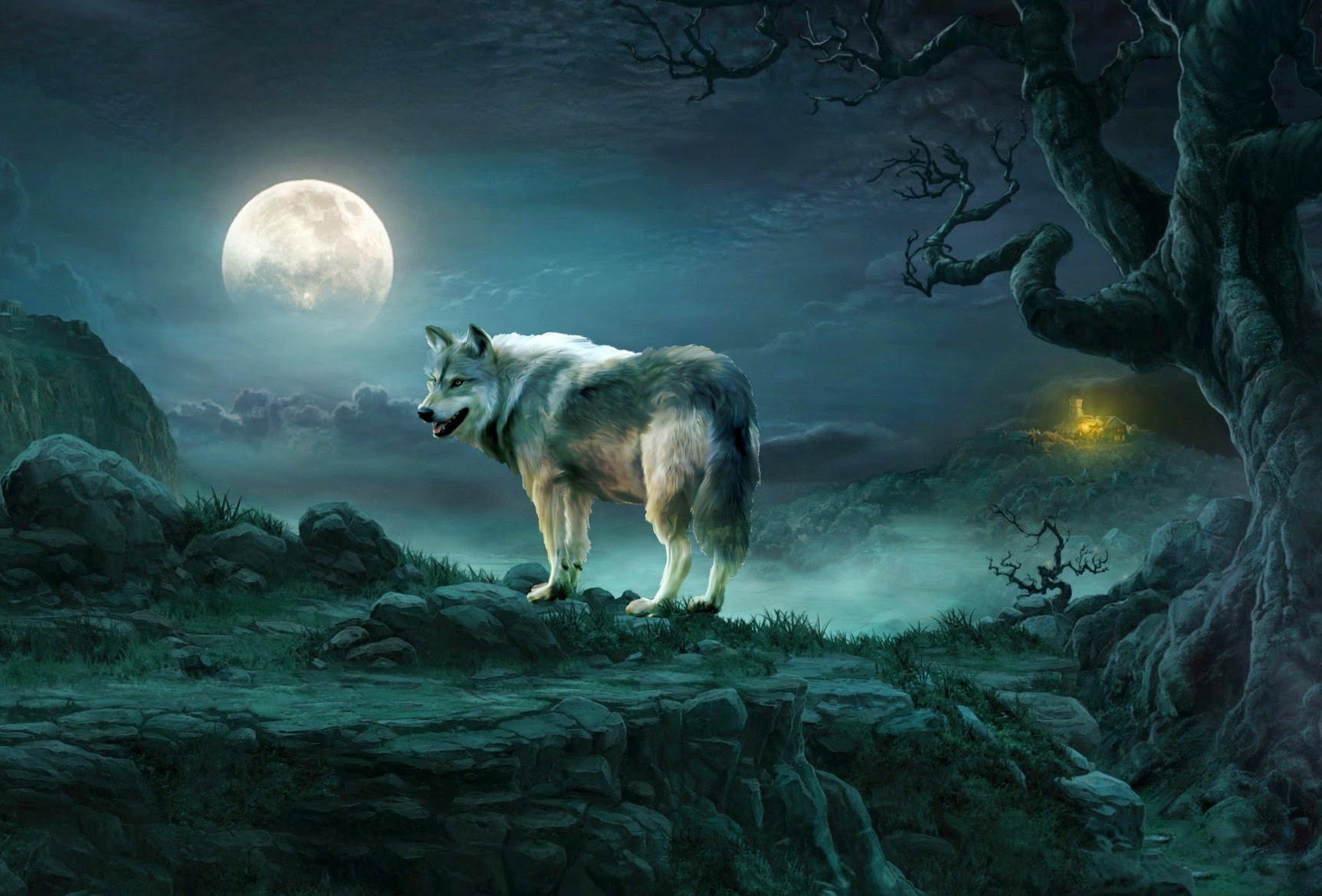 Wolf On Full Moon Night