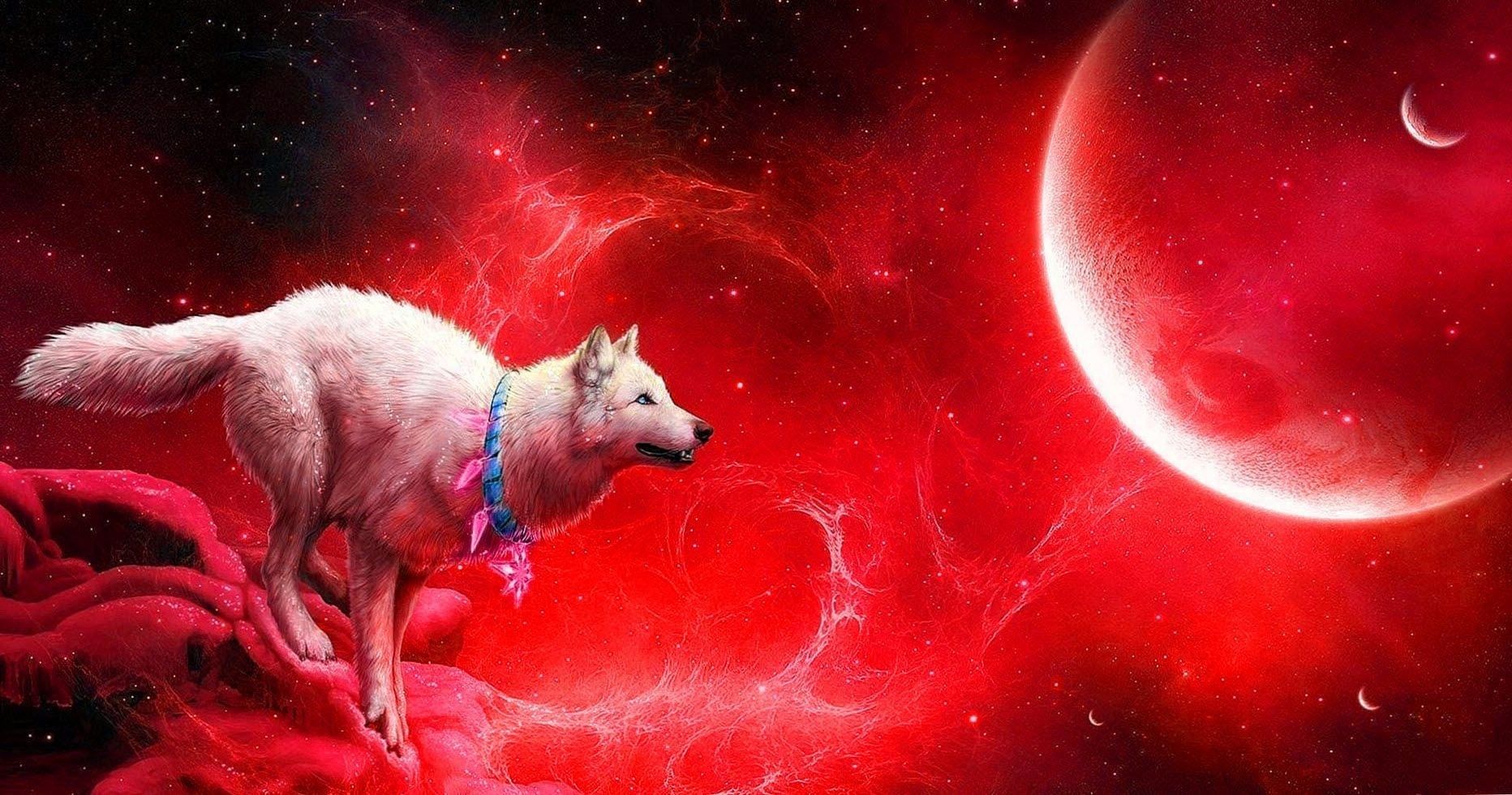 Mystical Blue Moon Wolf Wallpaper