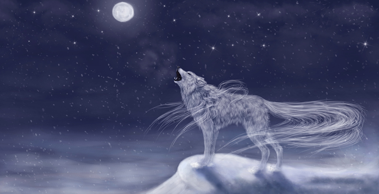Desktop Wallpaper Wolves Fantasy Moon