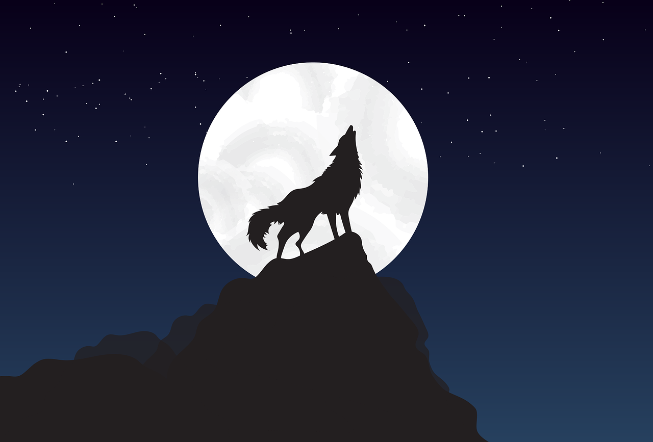 Free Moon Wolf & Wolf Image