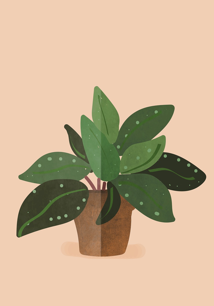 Download Boho Nature Plant Royalty Free