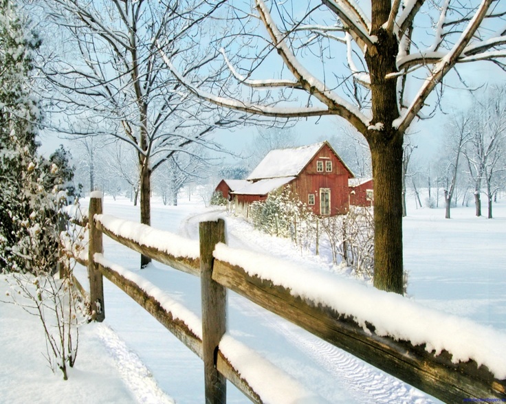 Winter farm. Winter scenery, Winter