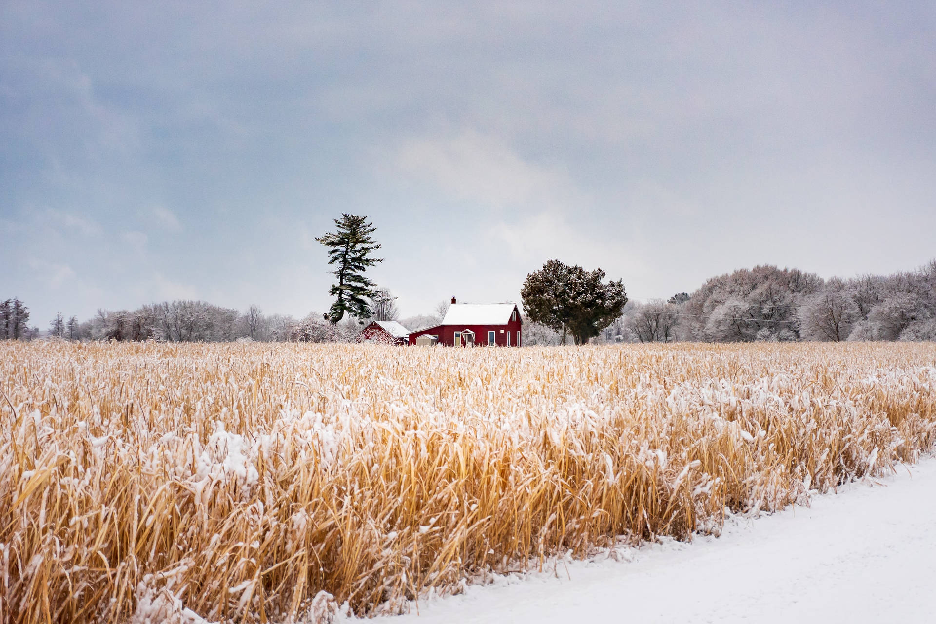 Download Farmhouse In Winter Wallpaper