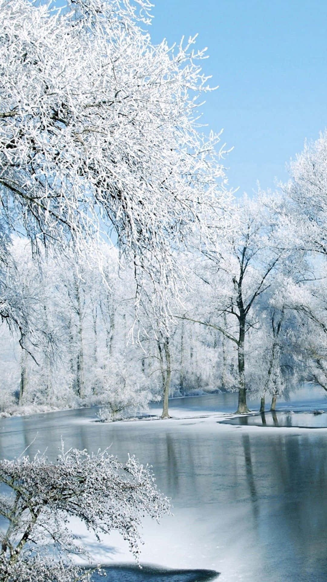 Download Stunning Winter Landscape the Moment Wallpaper