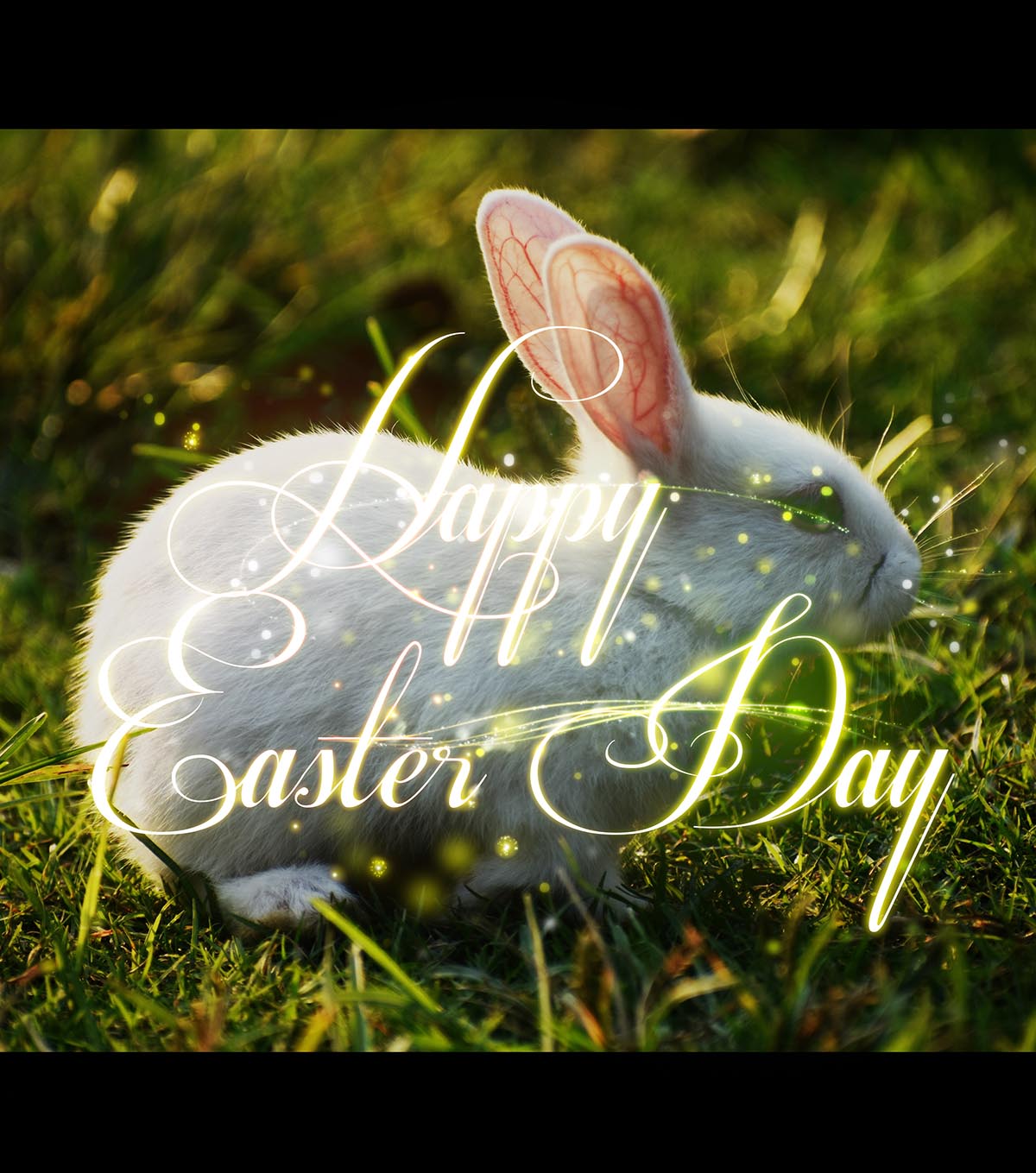 Cute Happy Easter Bunny 2 Stock Image