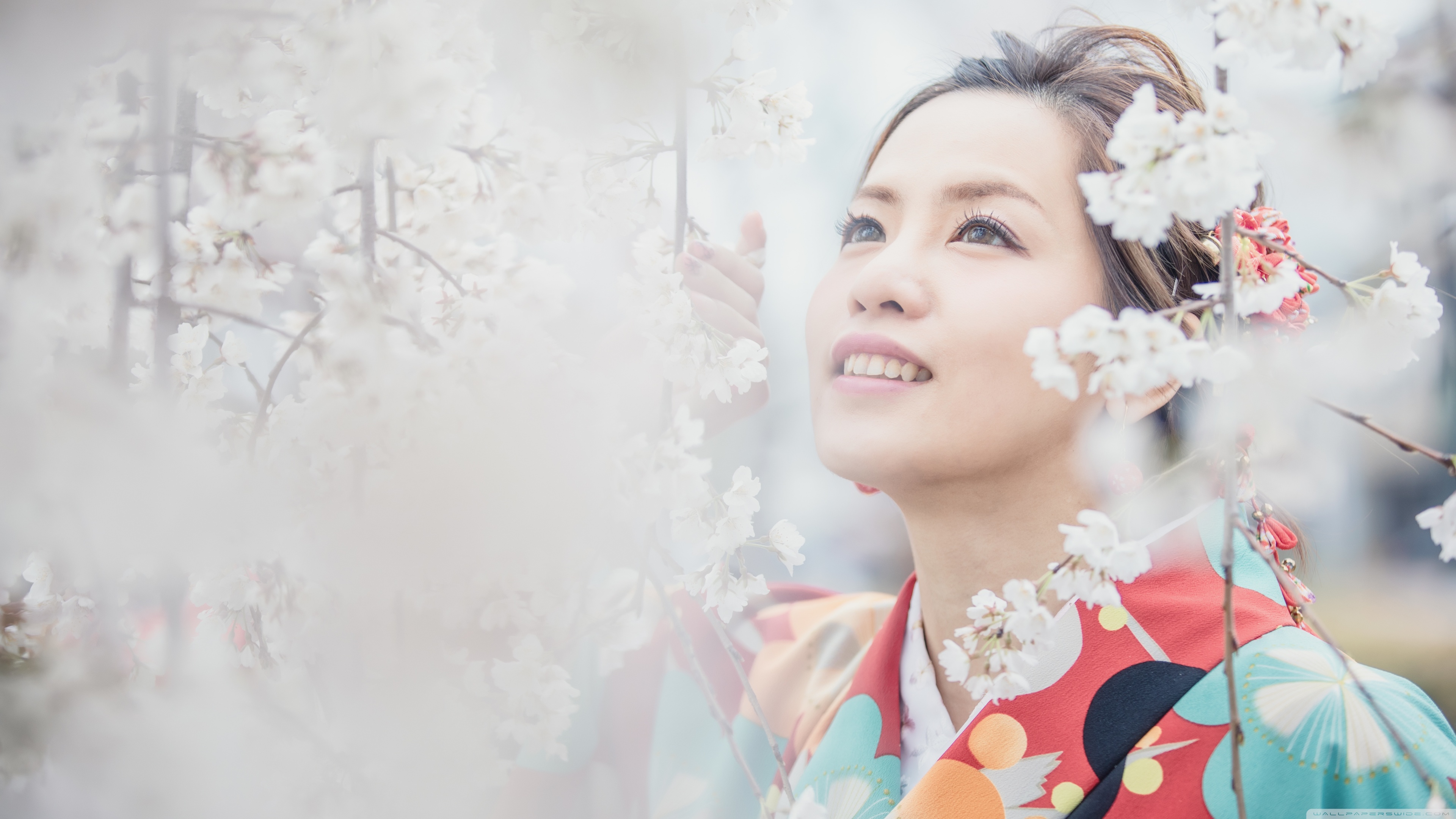 Japanese girl with Sakura Ultra HD