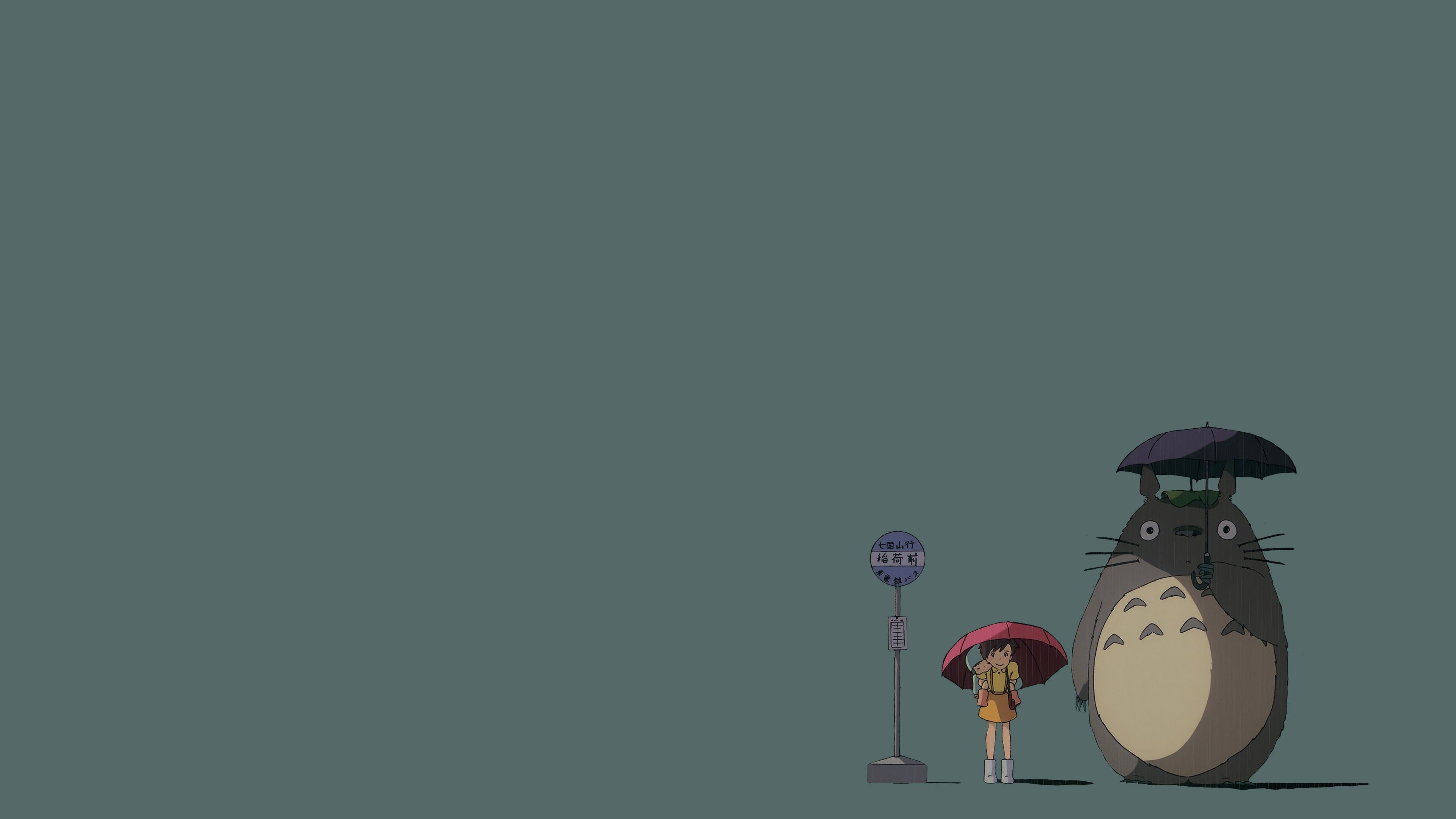Totoro Wallpaper and Background 4K