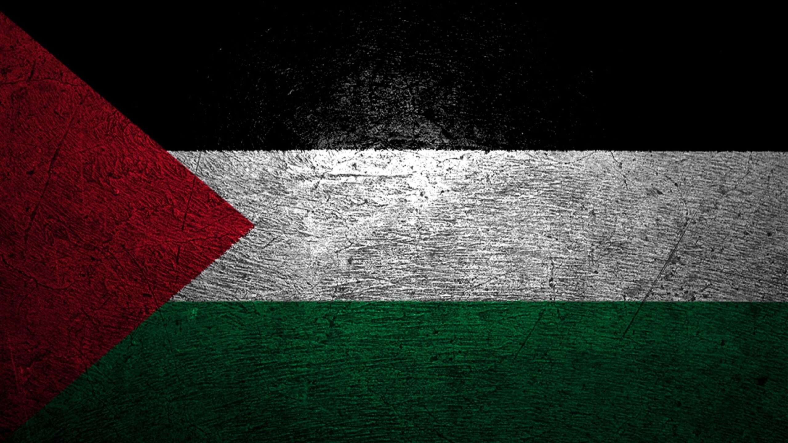 Best Palestine Flag Wallpaper