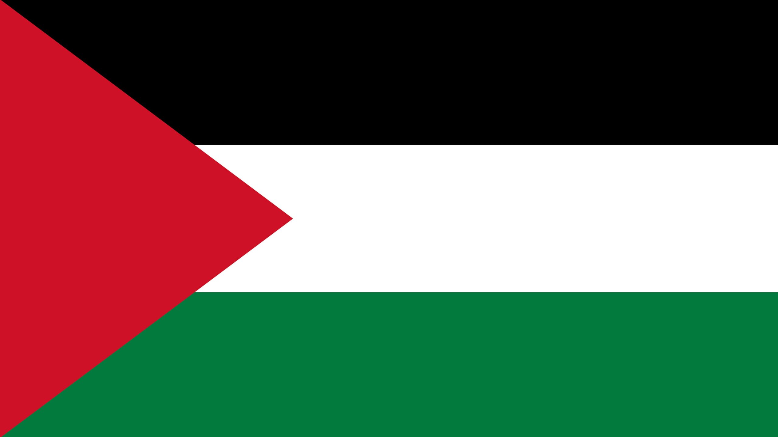 Best Palestine Flag Wallpaper