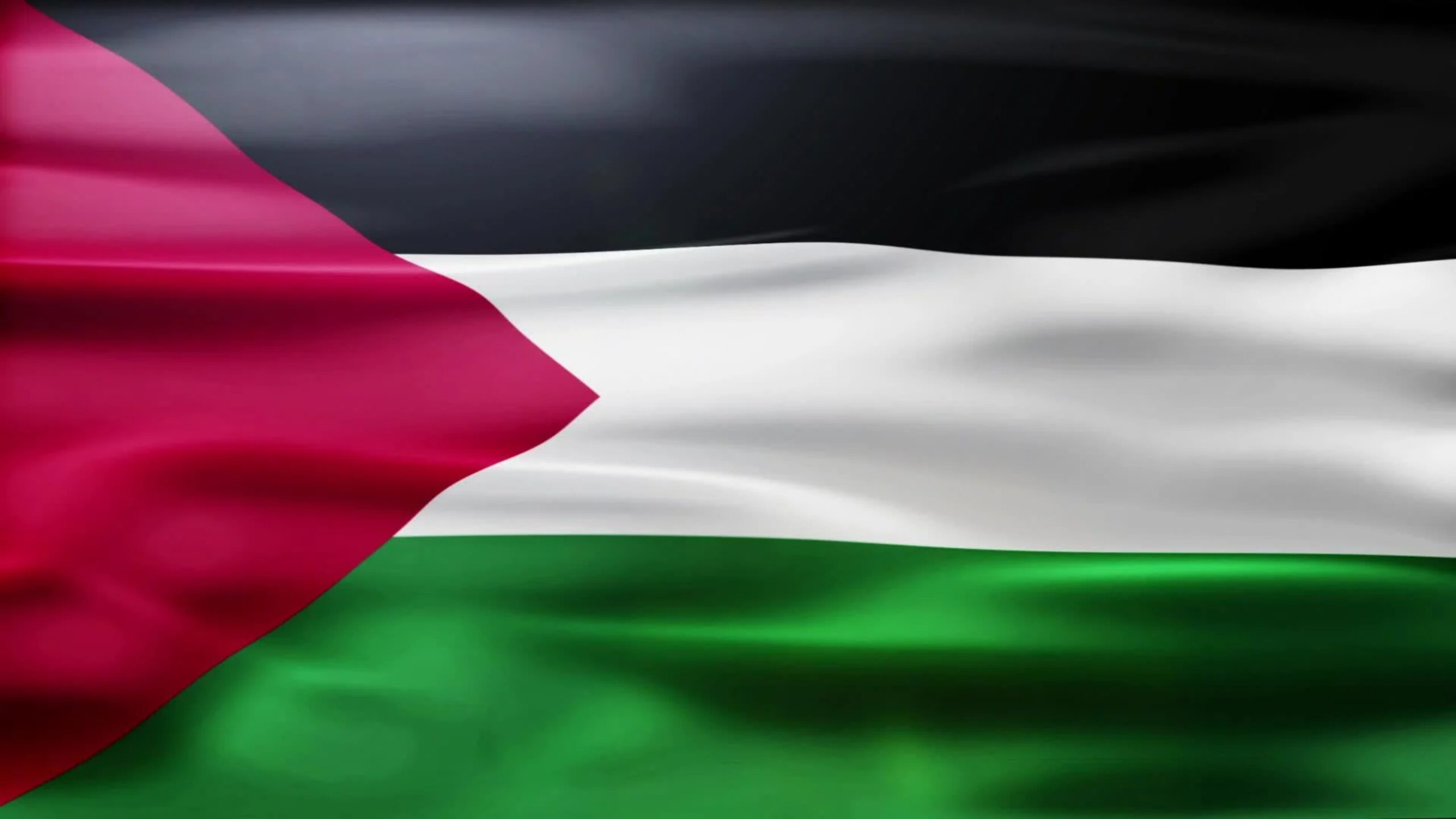 Best Palestine Flag Wallpaper