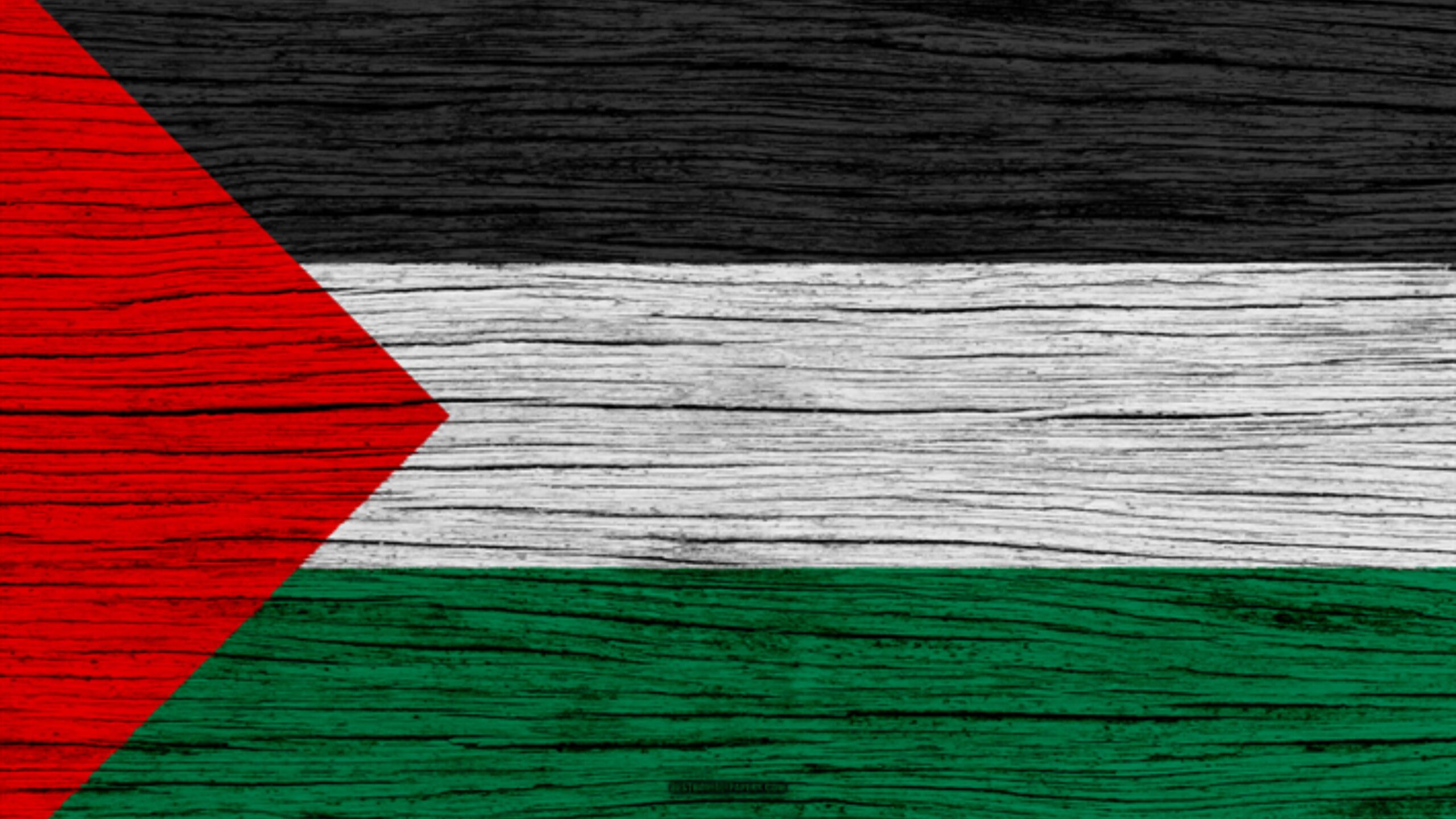 Best Palestine Flag Wallpaper