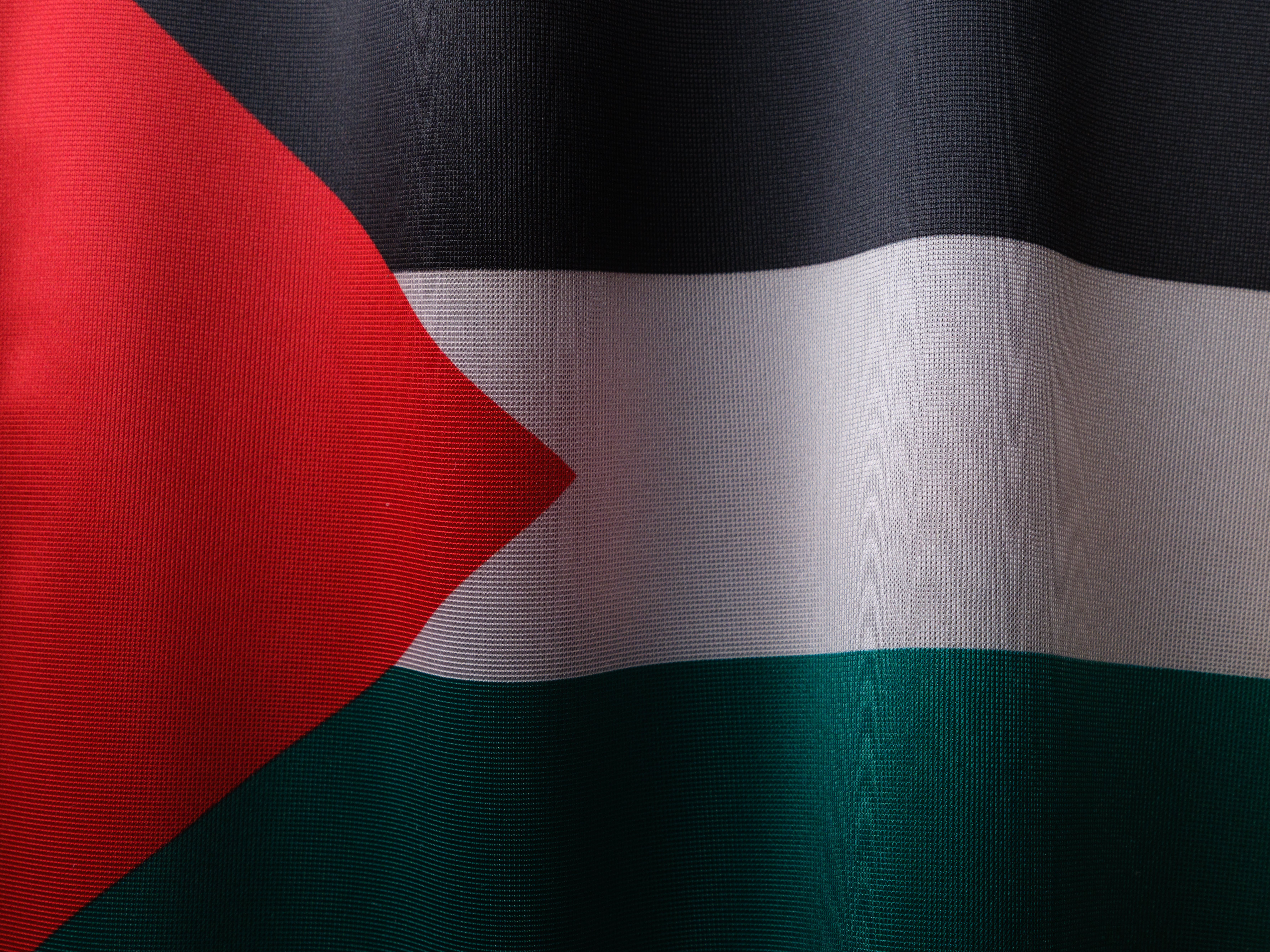 Flag of Palestine · Free