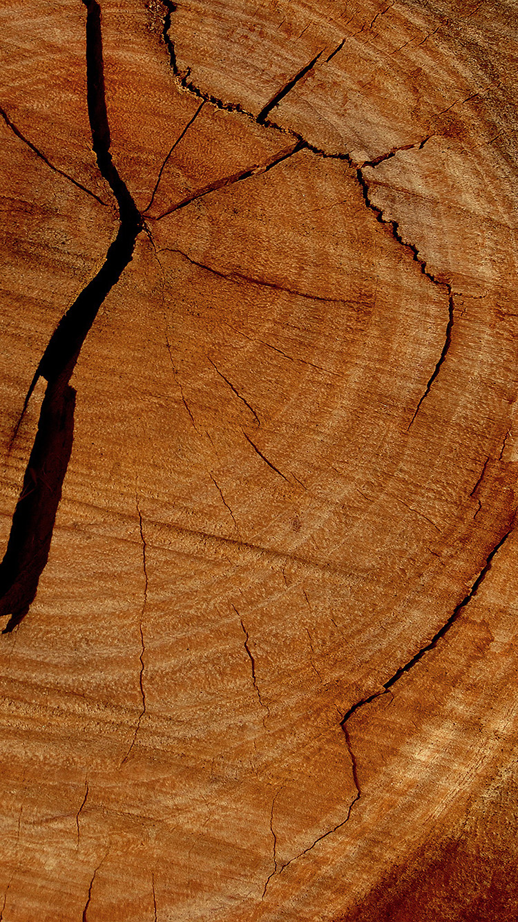wallpaper. wood texture pattern brown