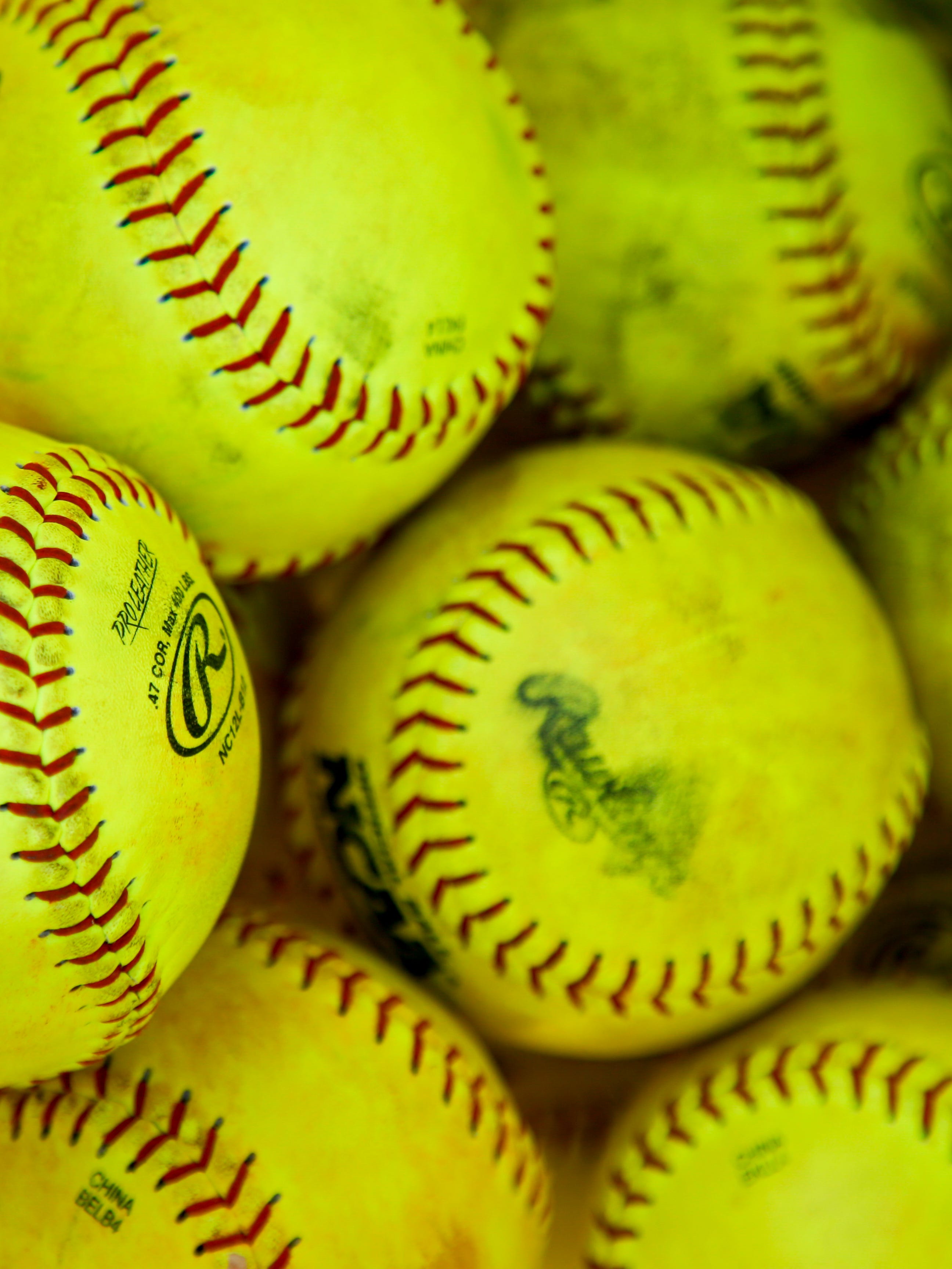 Division 3 Softball: Standish Sterling