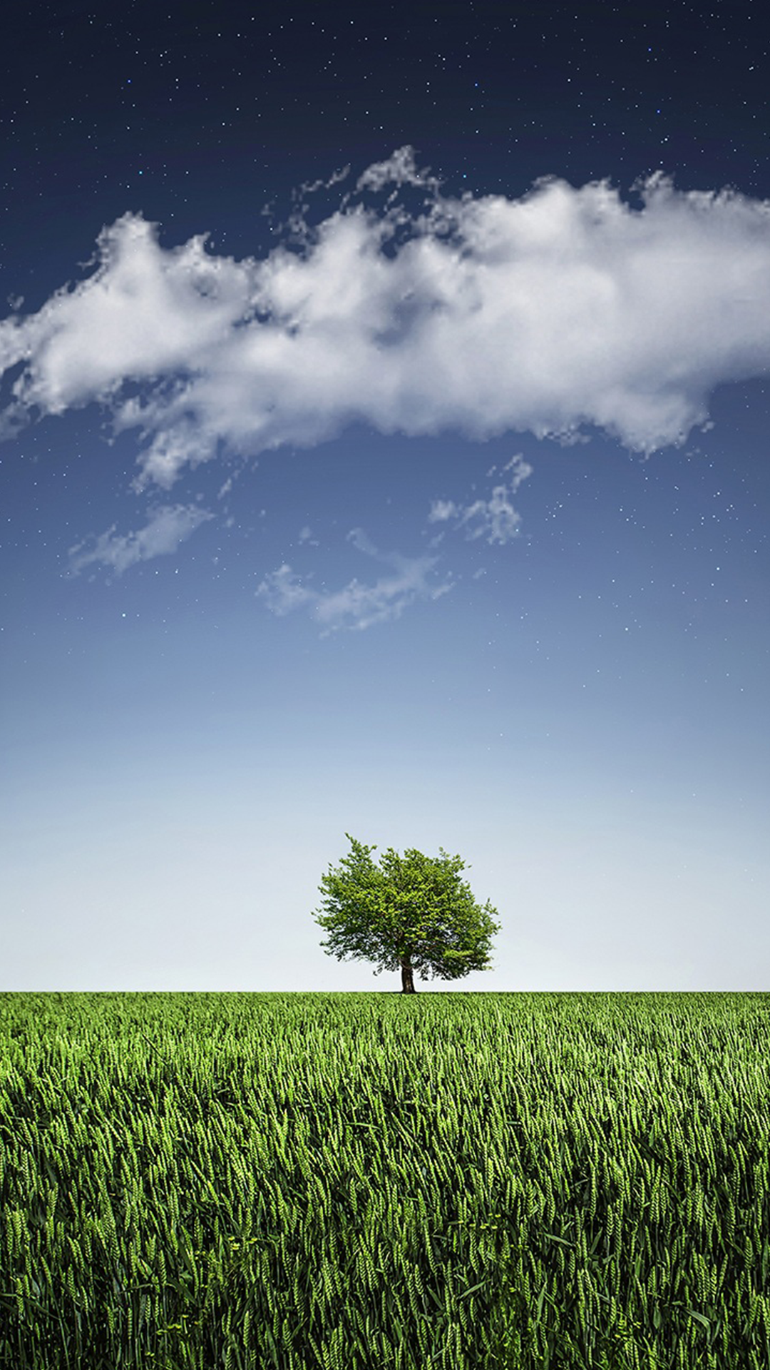 Lone Tree Wallpaper for Phone