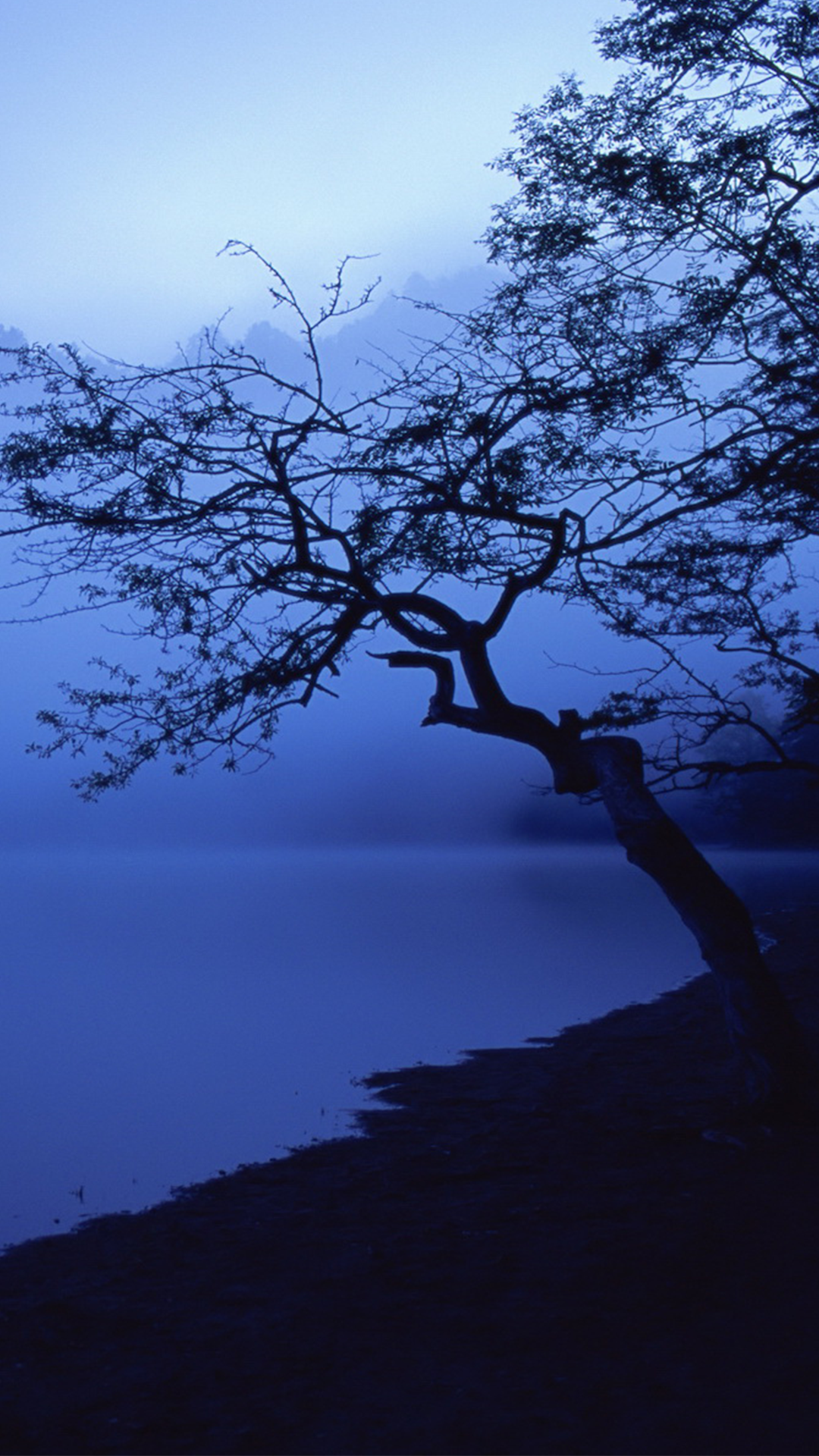 Blue Tree Wallpaper iPhone Home Screen