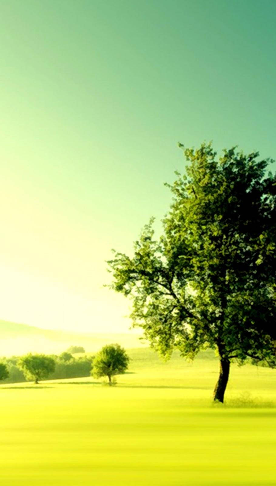 Nature Phone Wallpaper