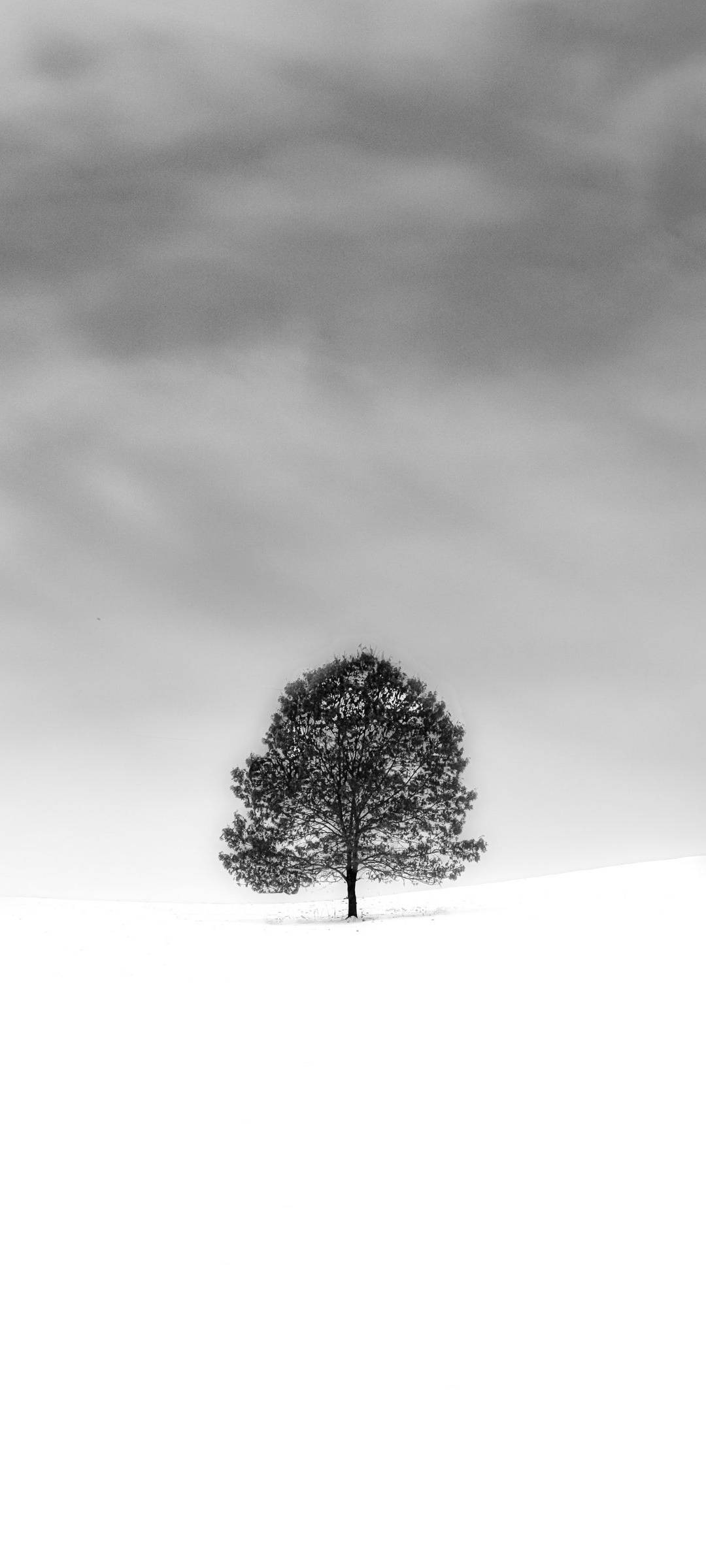 White Phone Wallpaper