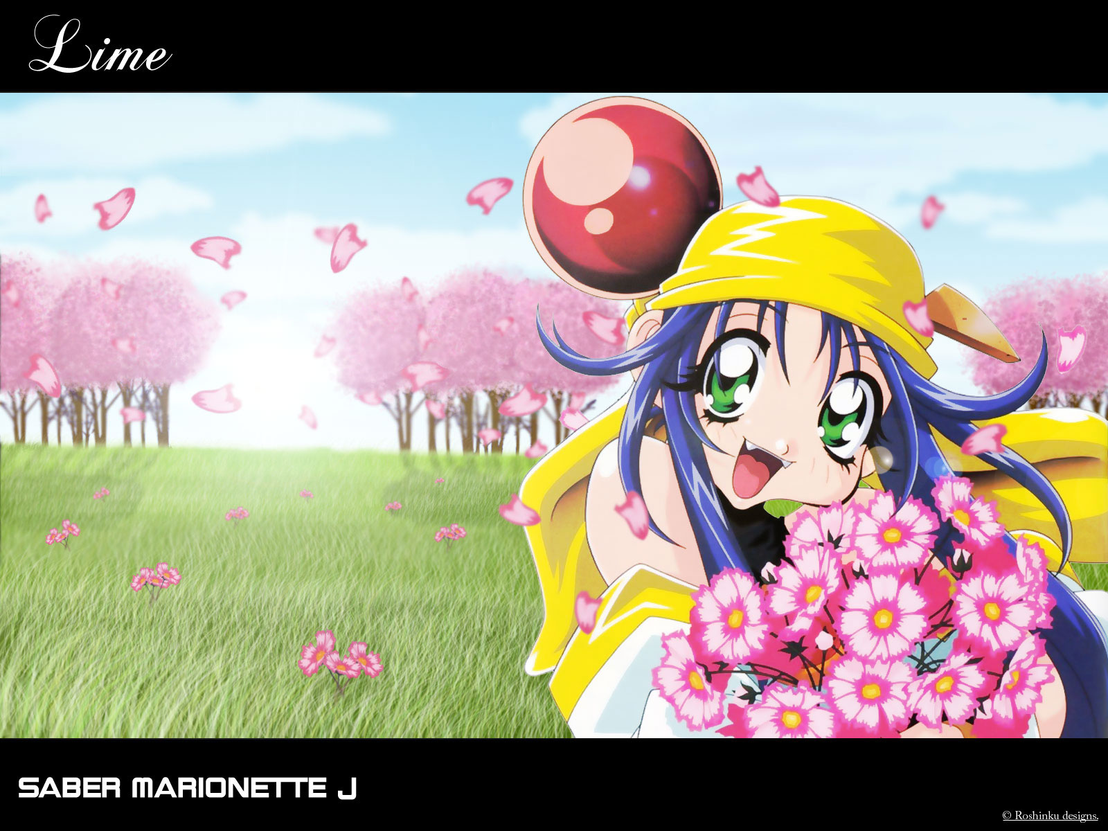 Saber Marionette and Scan