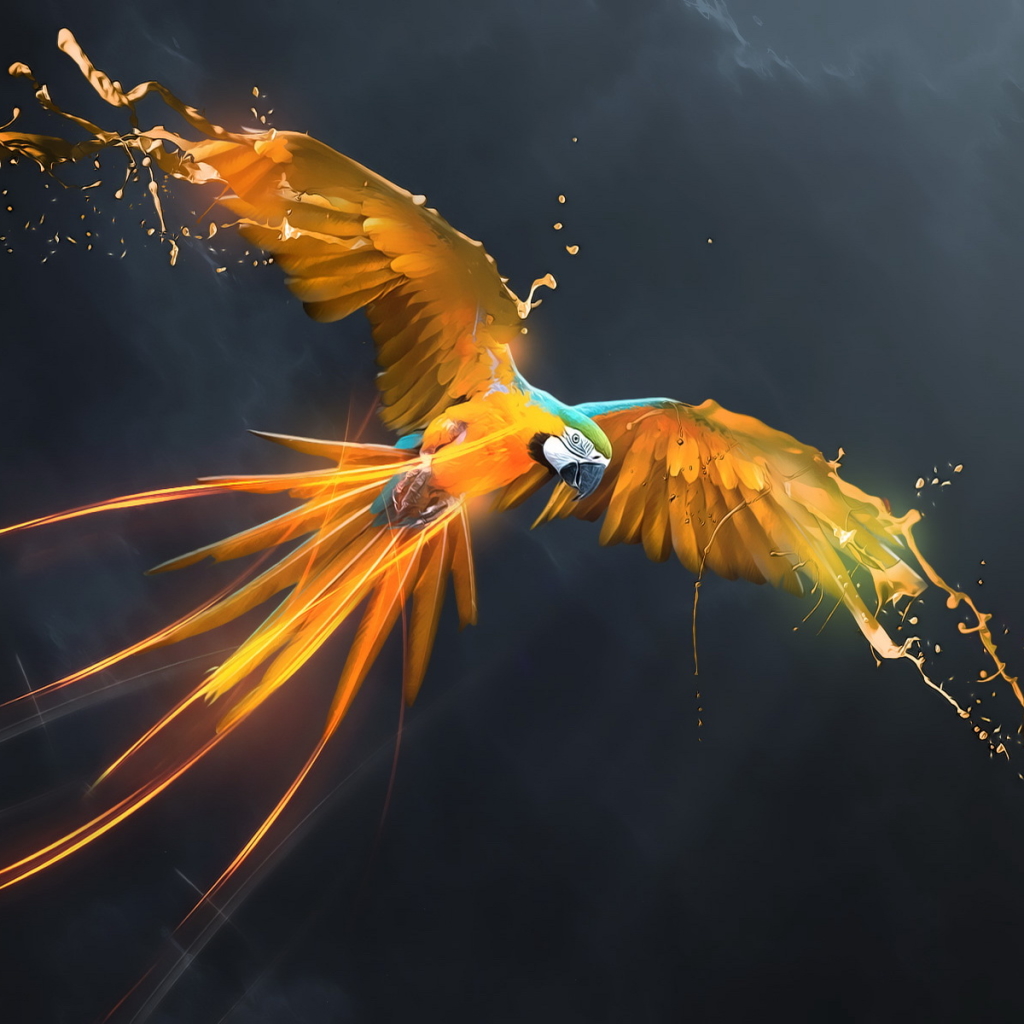 Blue And Yellow Macaw Pfp By Felix Haug