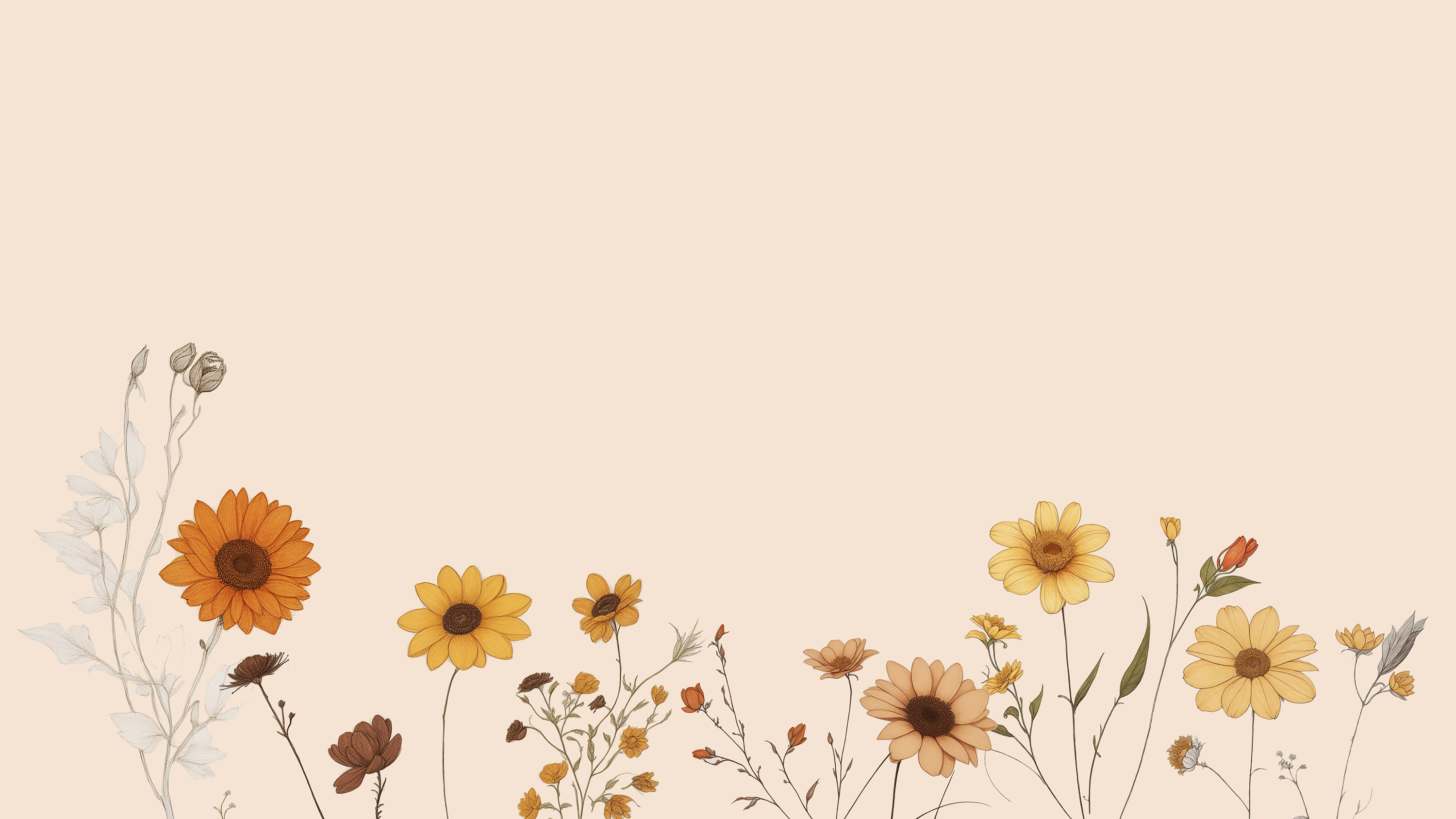 Desktop Background Wallpaper, Floral