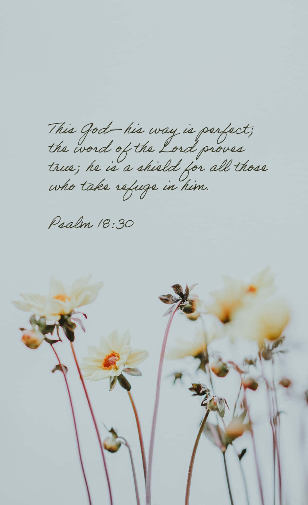 Pretty bible verses wallpapers wallpaper cave