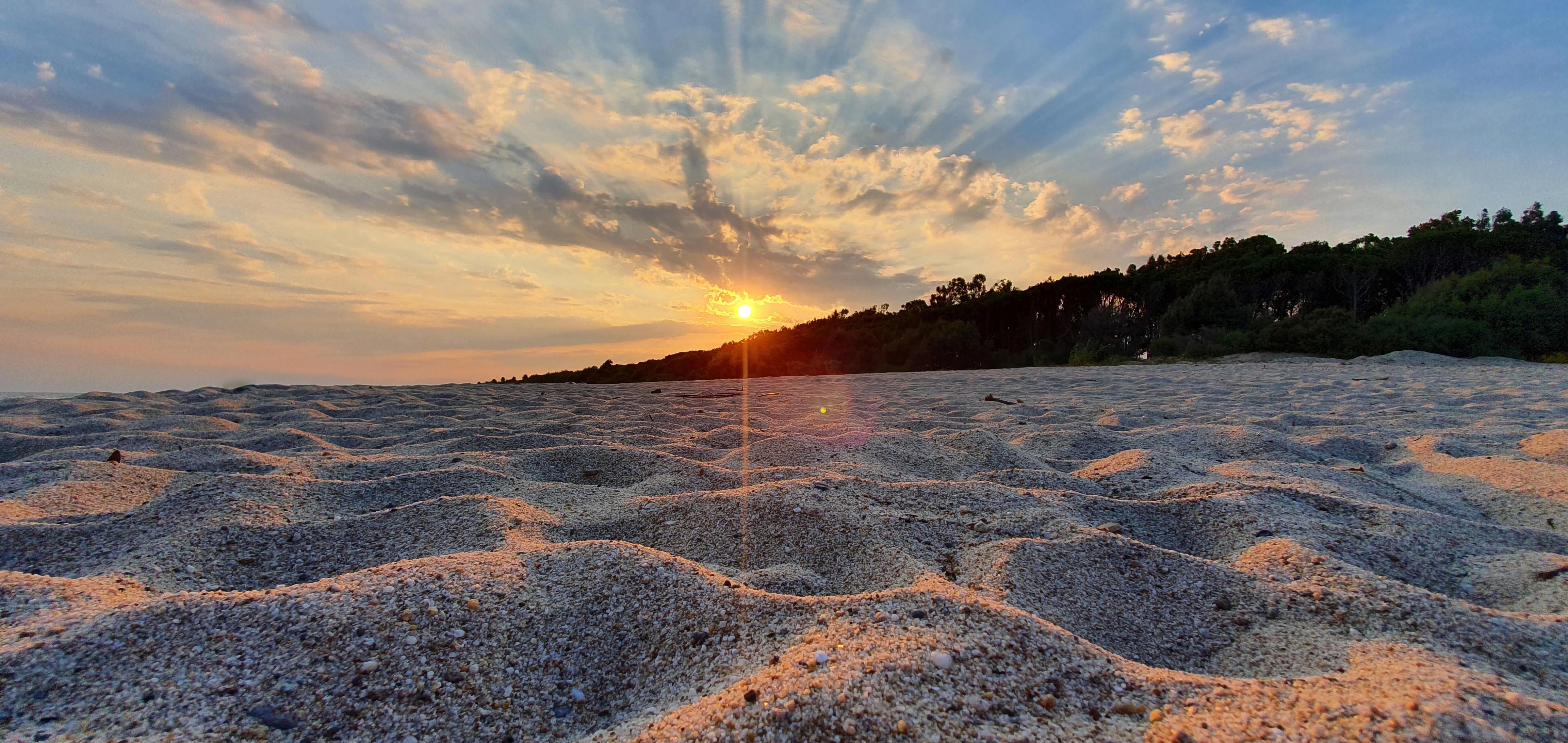beach, Italy [OC]