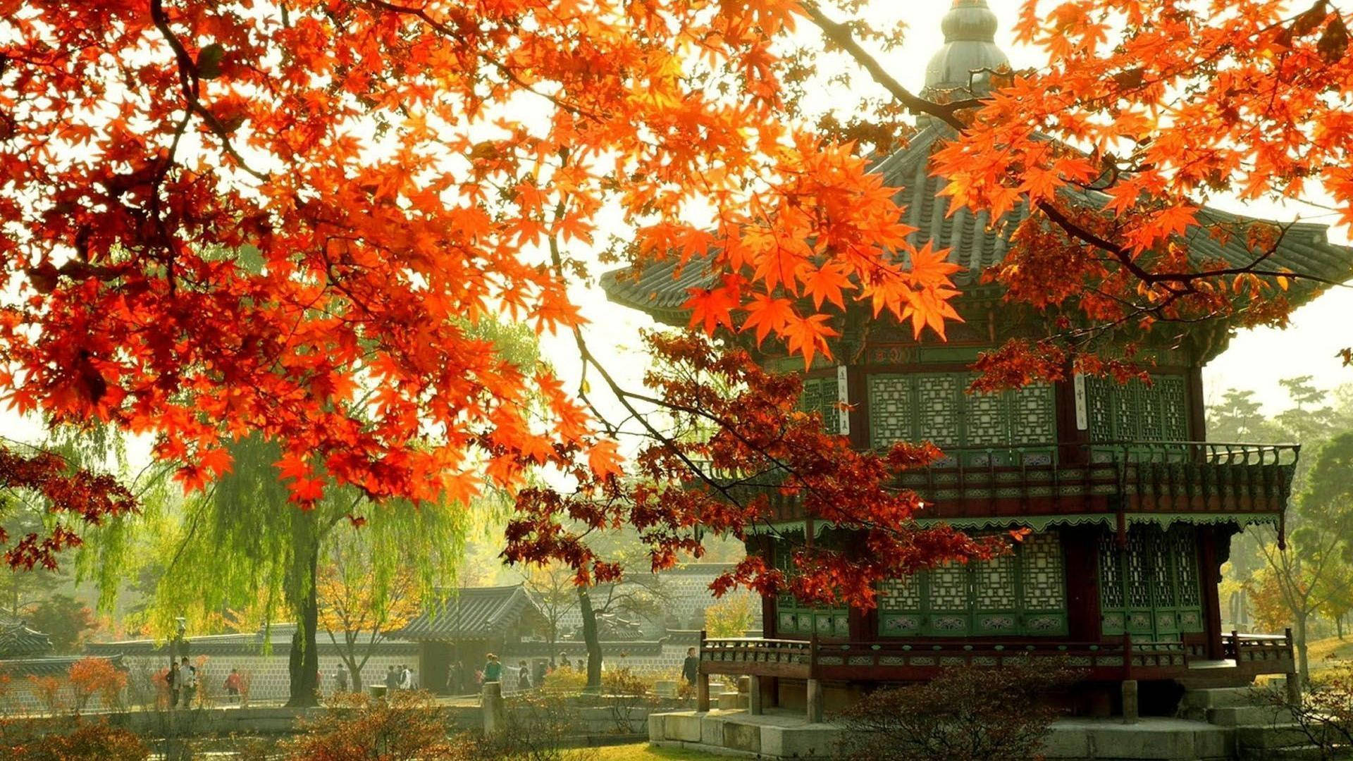 Download South Korean Palace Wallpaper