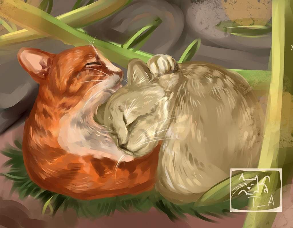 Firestar and Sandstorm. Warriors Art