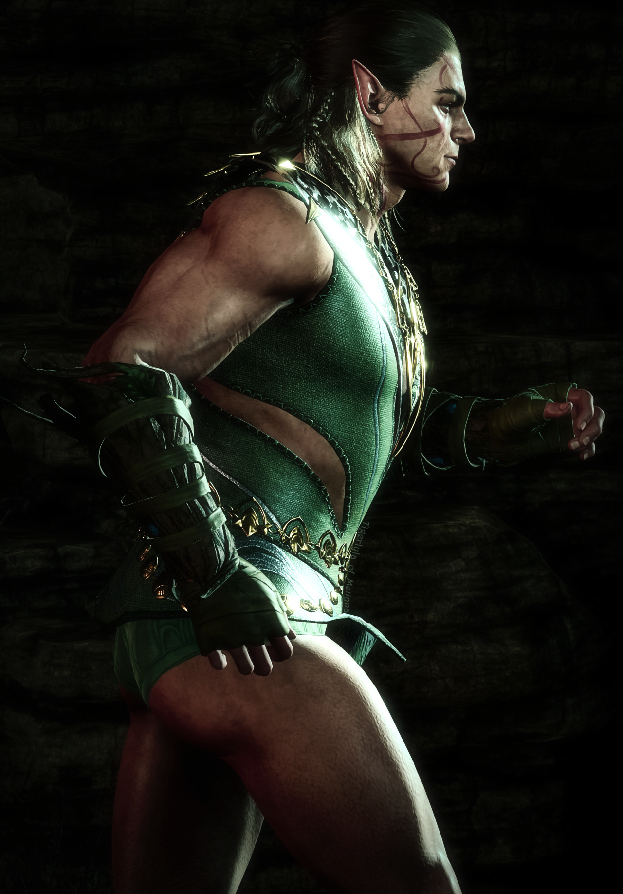 The Nilfgaardian Collection