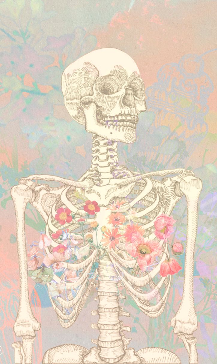 Pastel skeleton flowers anatomy