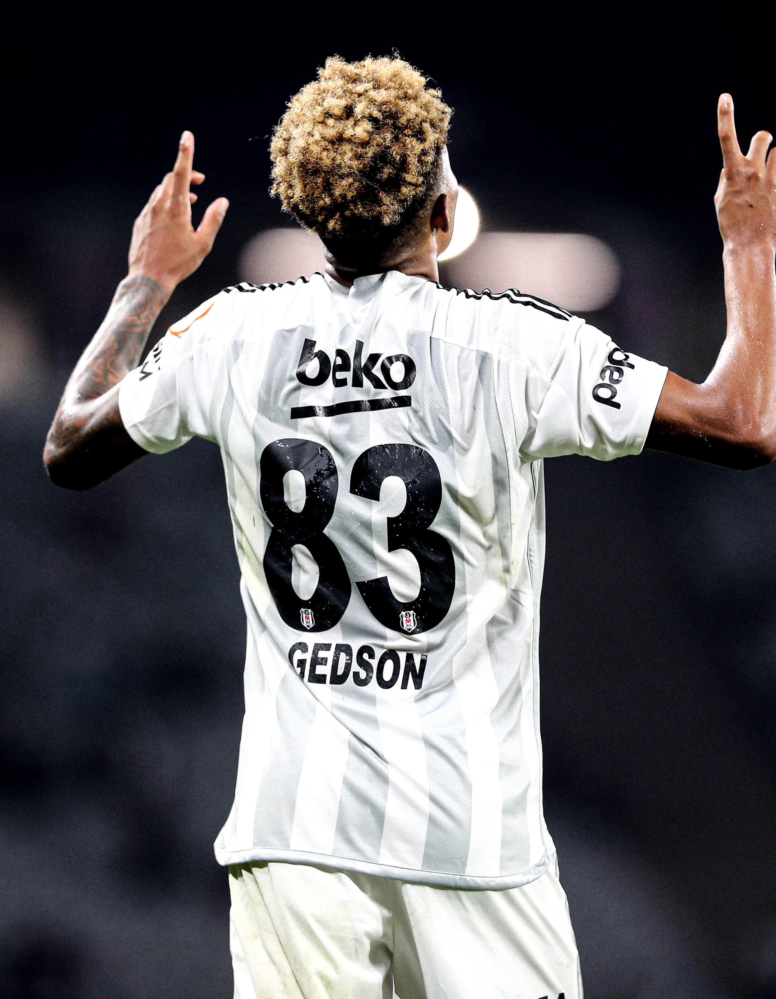 Wallpaper. Mario gomez