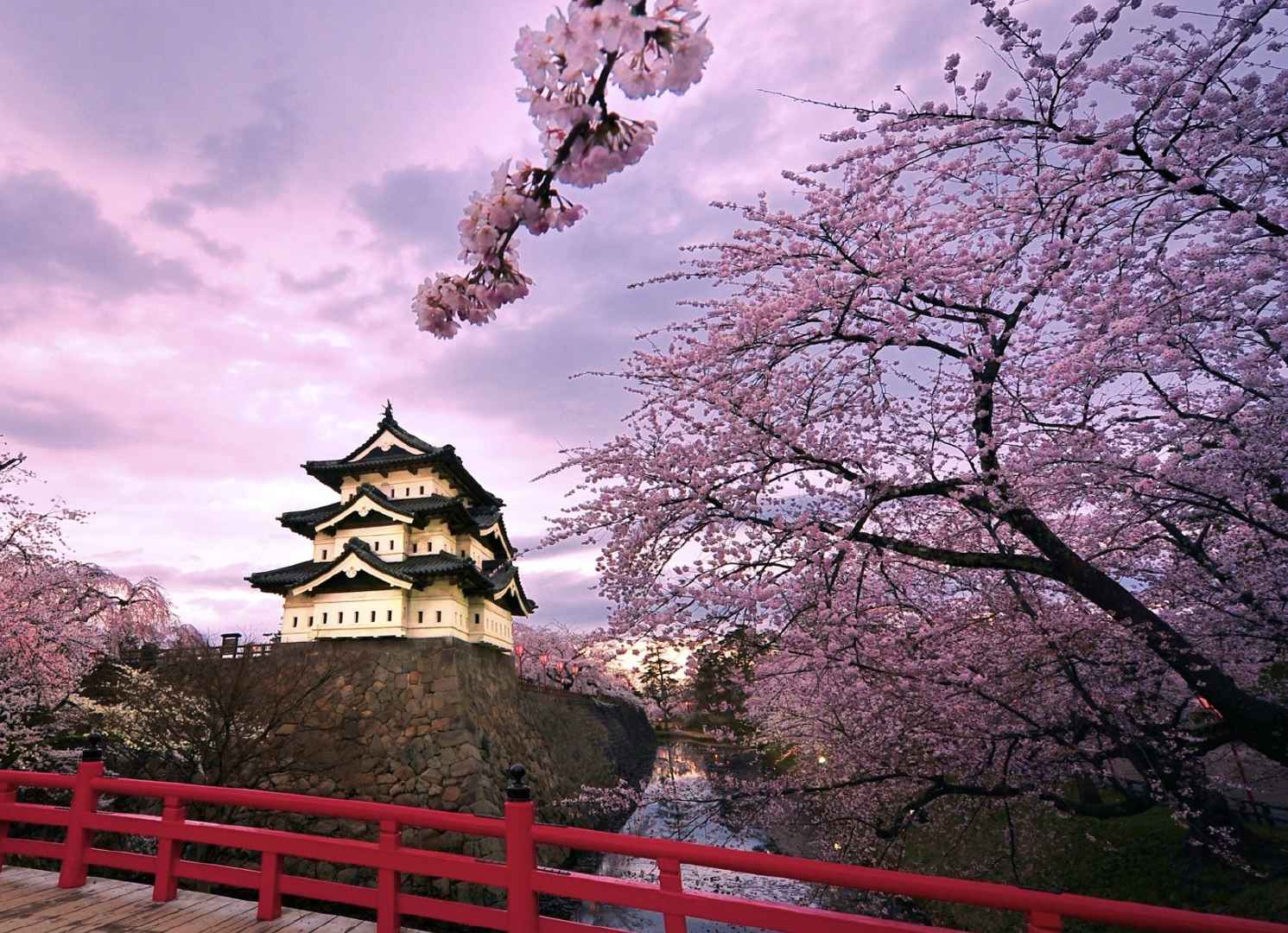 Lexis Japan (Kobe, Japan)