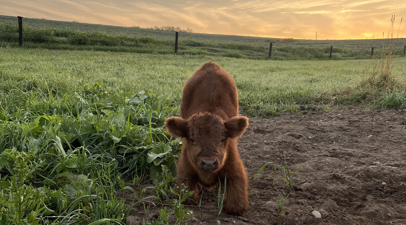 Scottish Highlands south of Highland