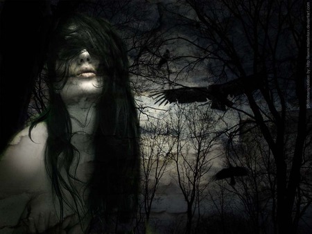 Background Wallpaper on Desktop Nexus