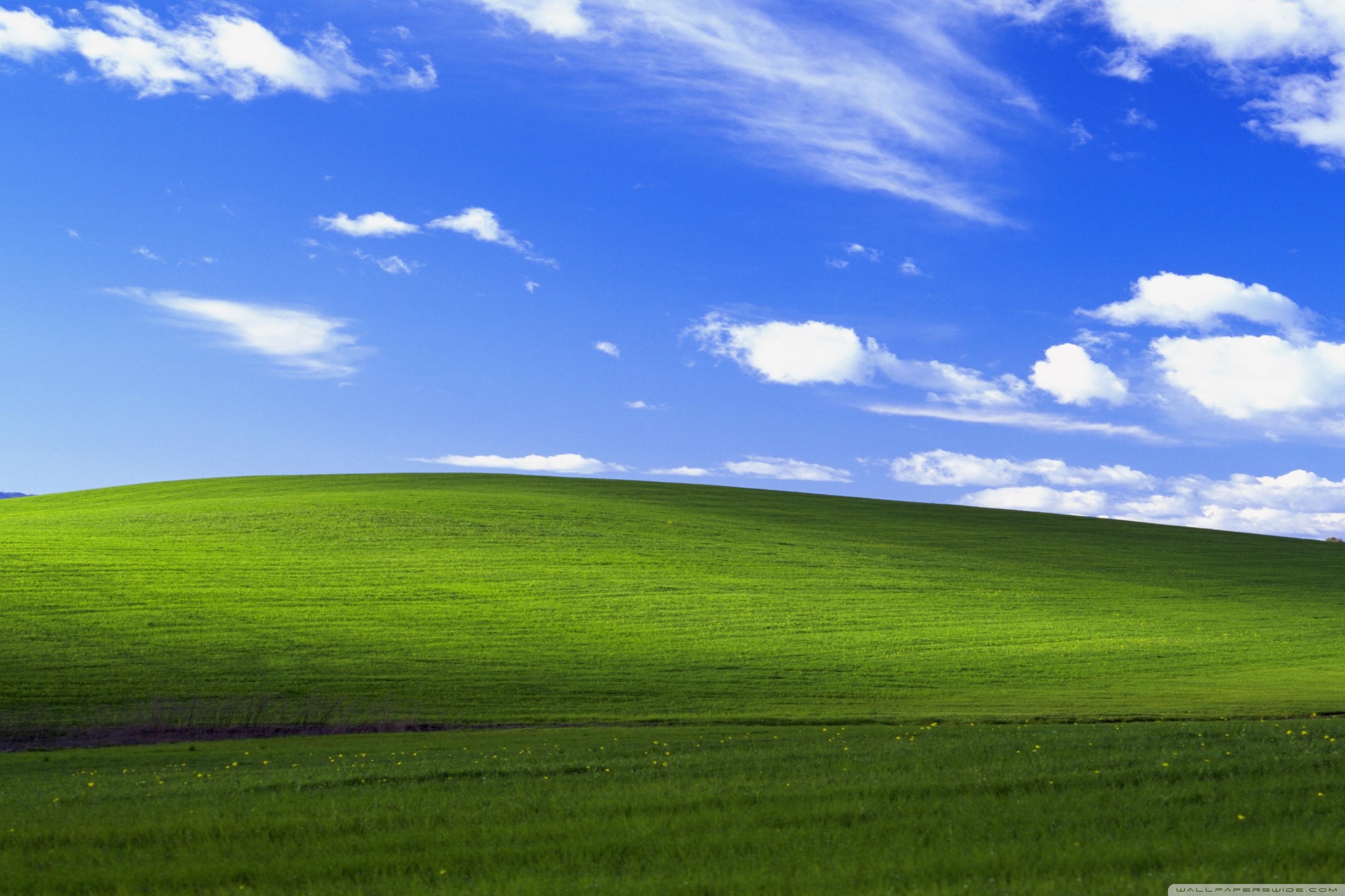Windows XP Ultra HD Desktop Background