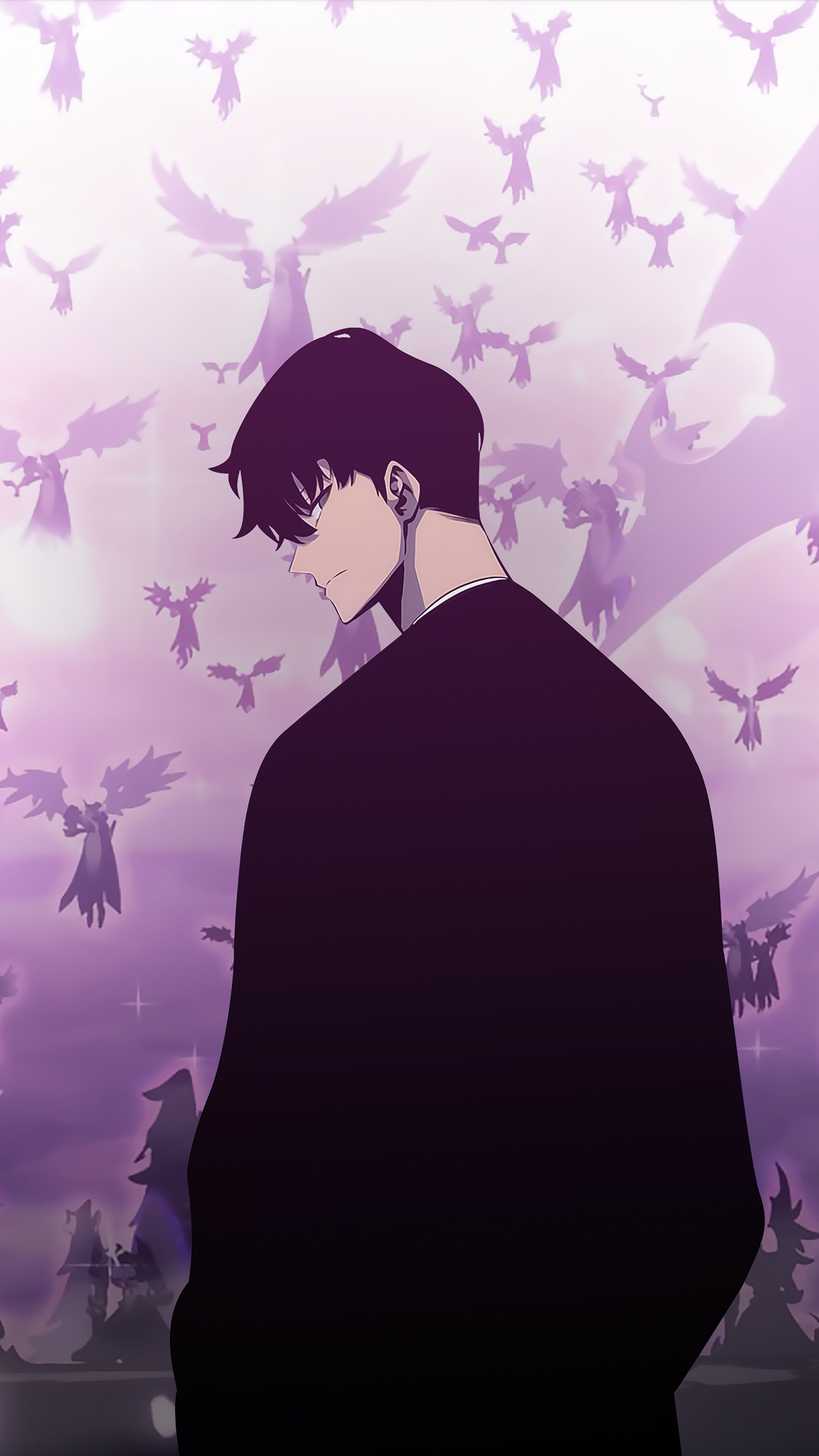 Sung Jin Woo Solo Leveling