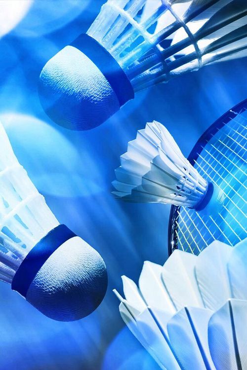 Badminton sport, Badminton picture